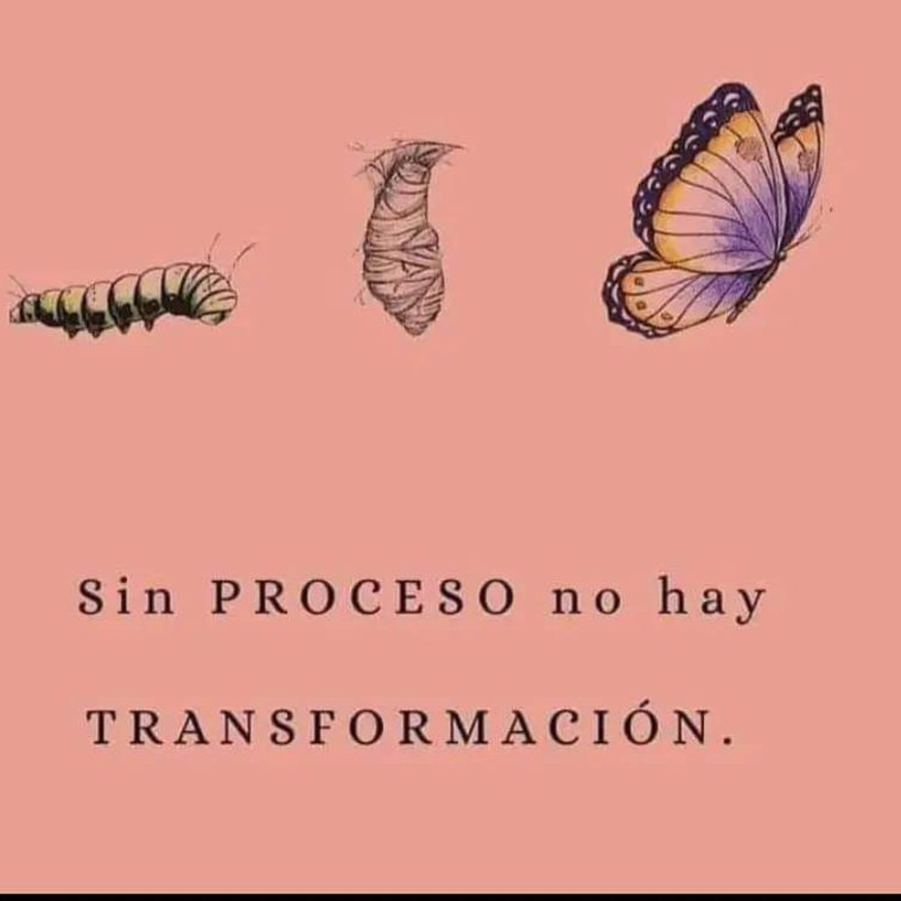 AMOR,DESAMOR,SALUD Y VIDA