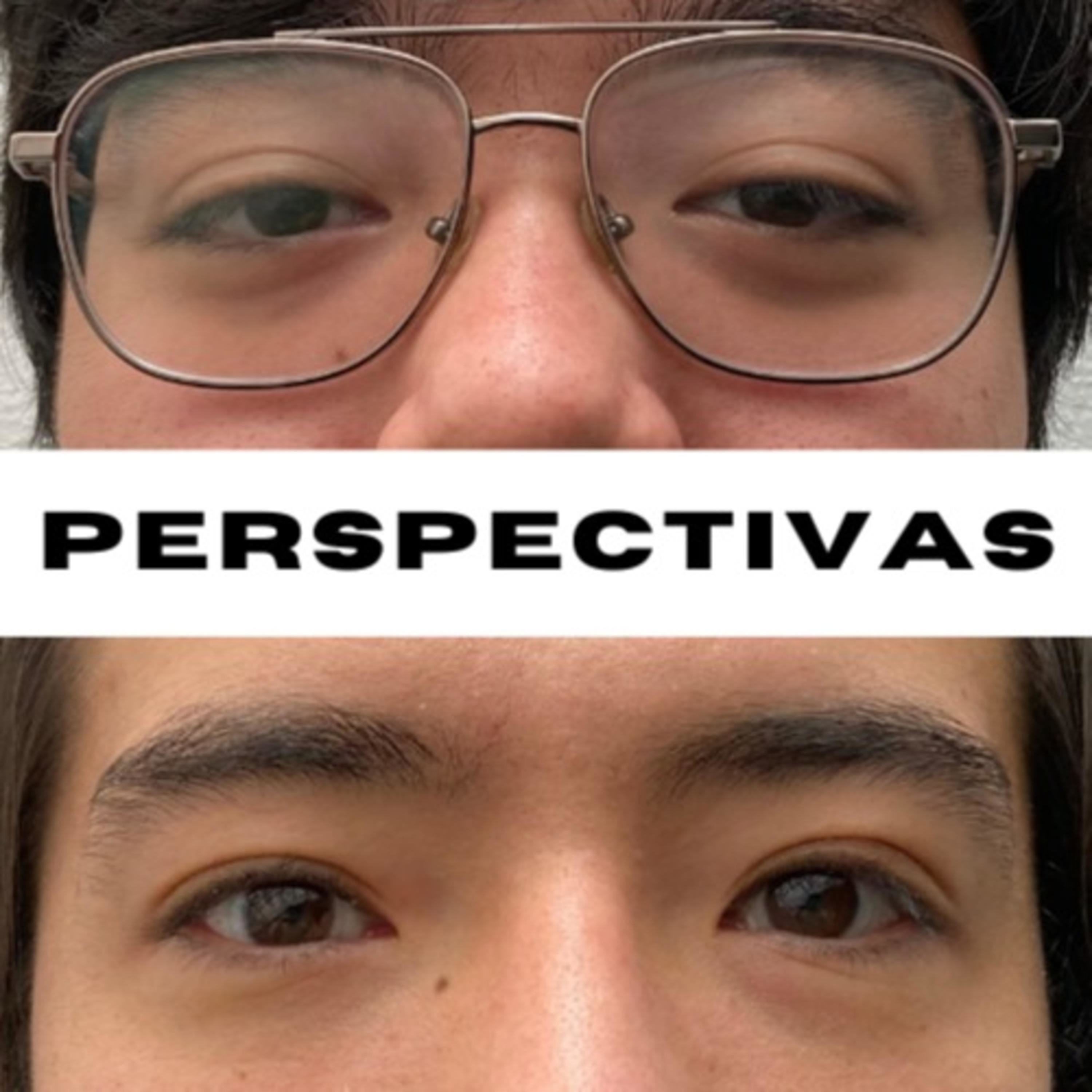 PERSPECTIVAS