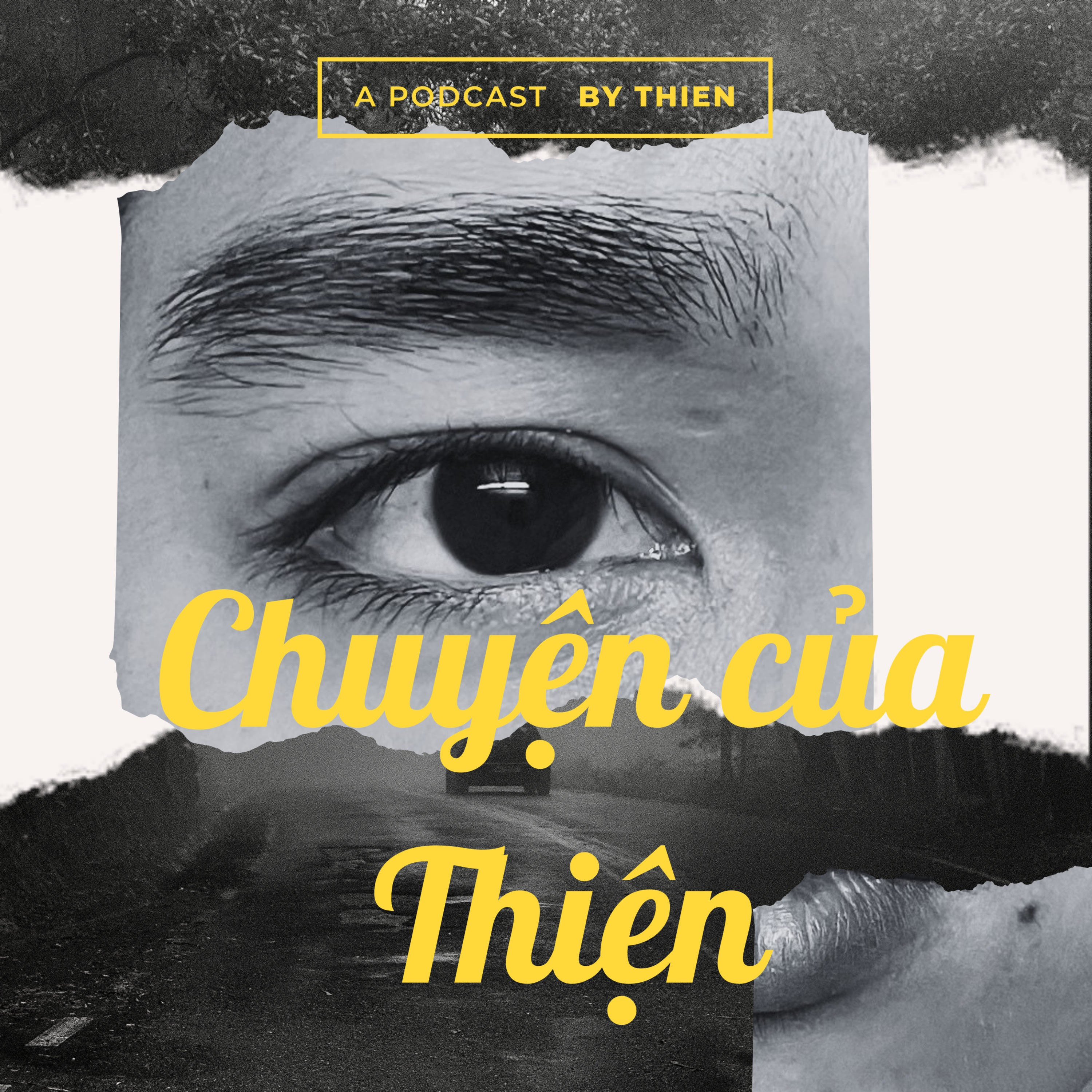 Chuyá»n cá»§a Thiá»n