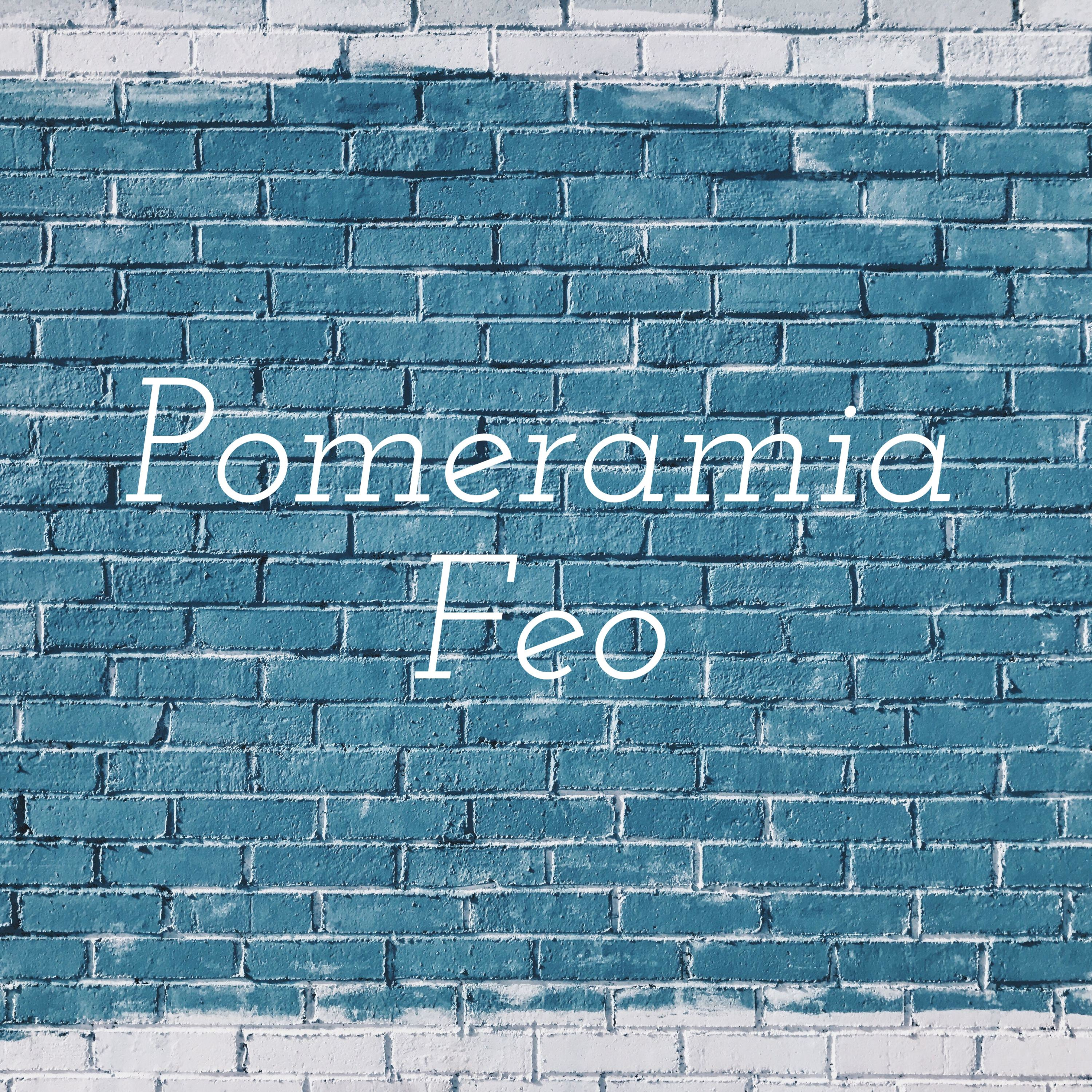 Pomeramia Feo