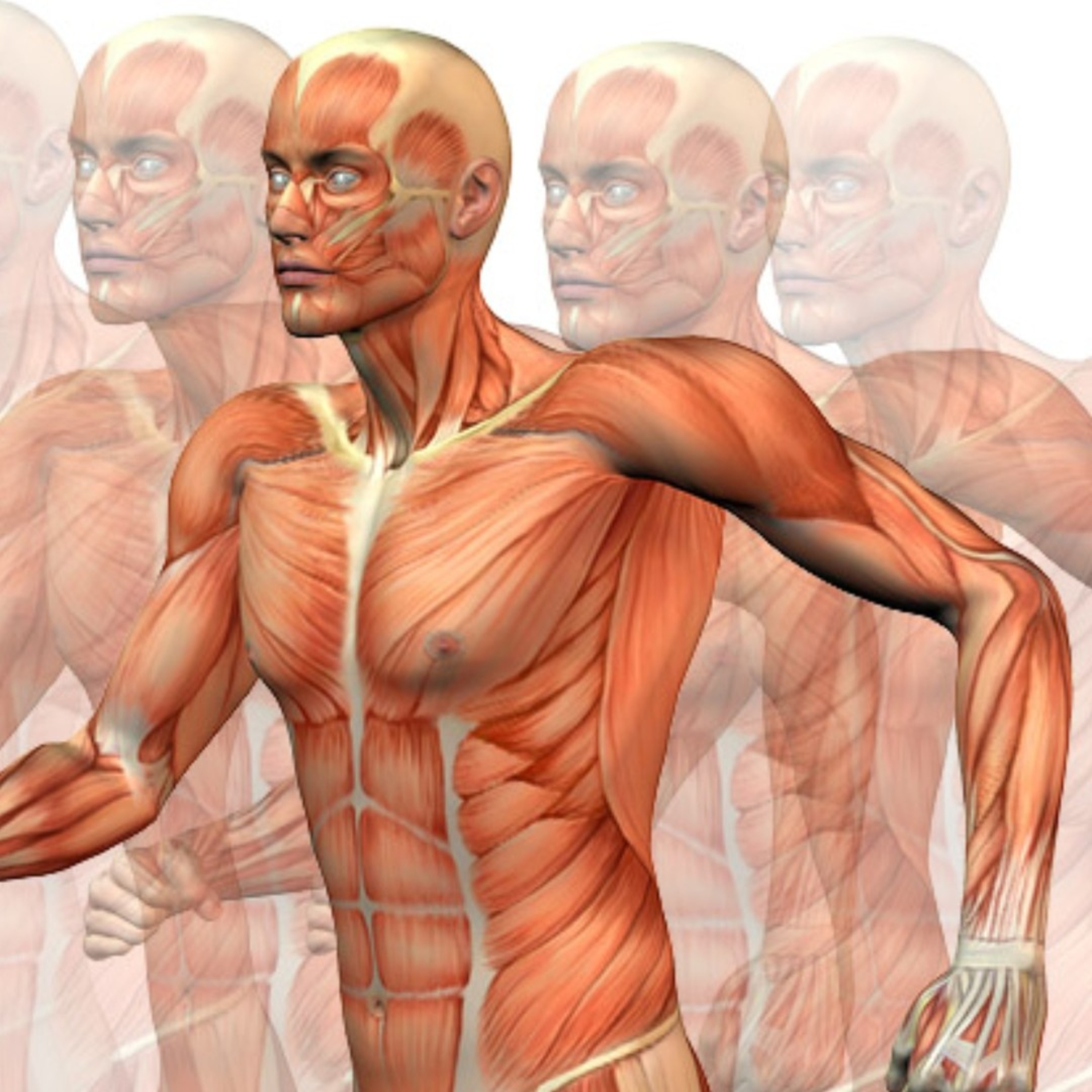 LA PATOKINESIS Y EL MOVIMIENTO CONTINUO