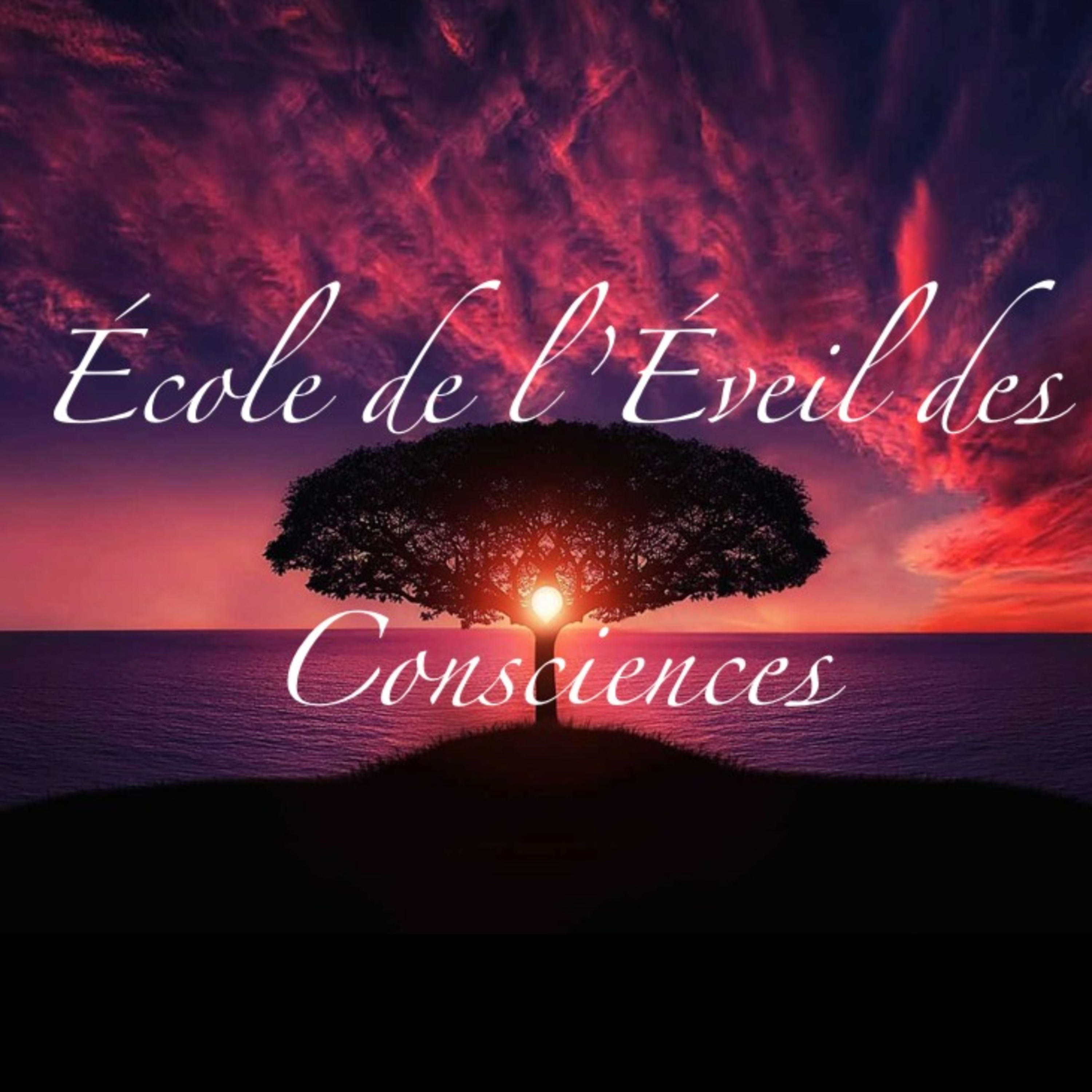 L'école de l'éveil des consciences