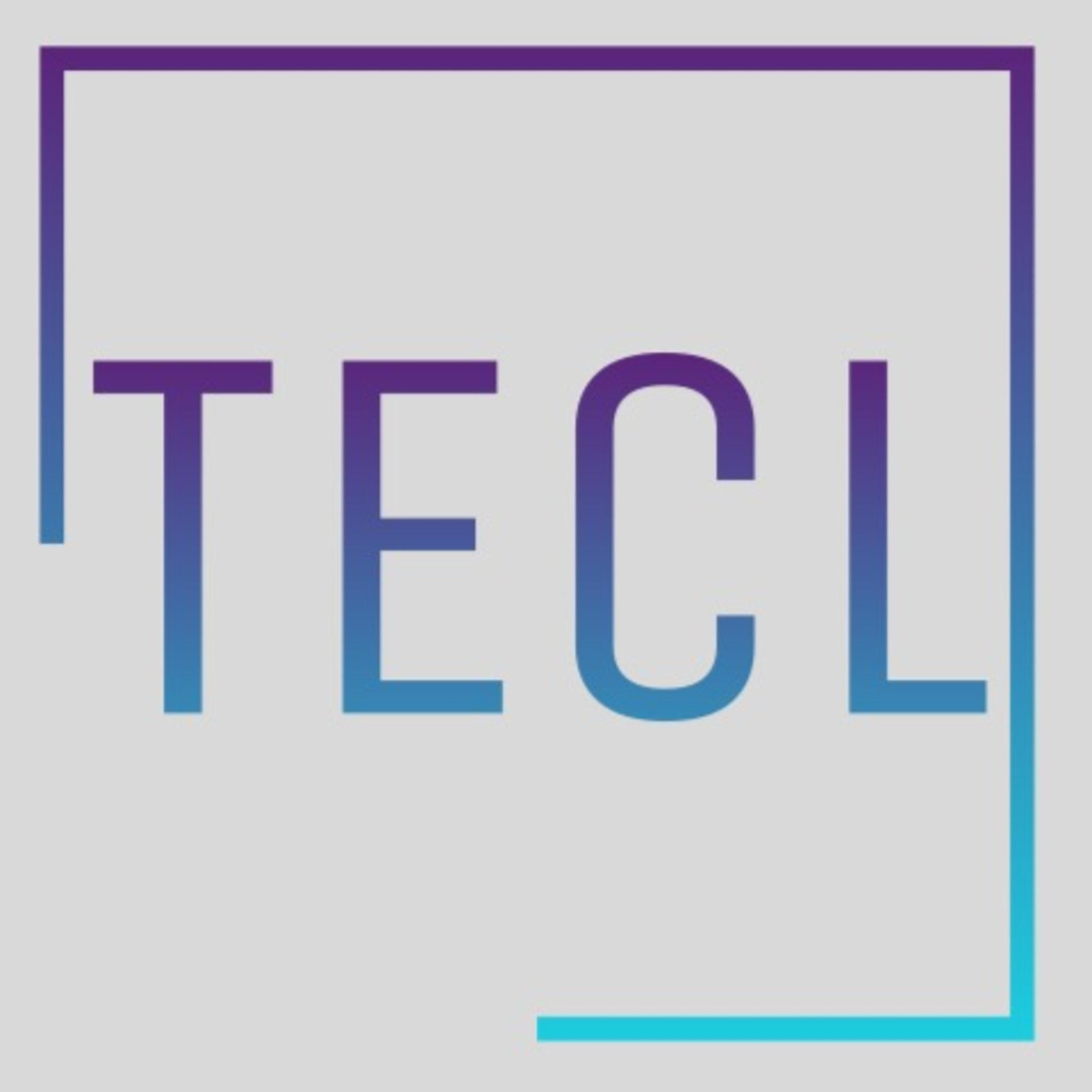 The Engineering Consultant Life Podcast