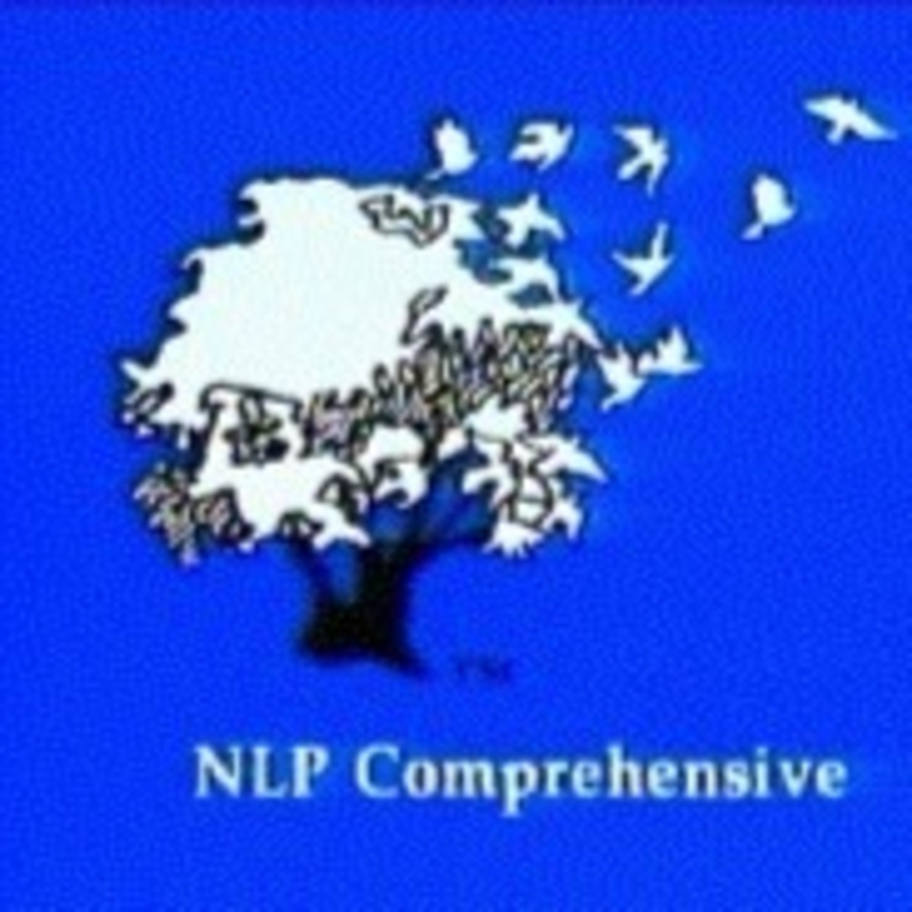 NLP Comprehensive cover