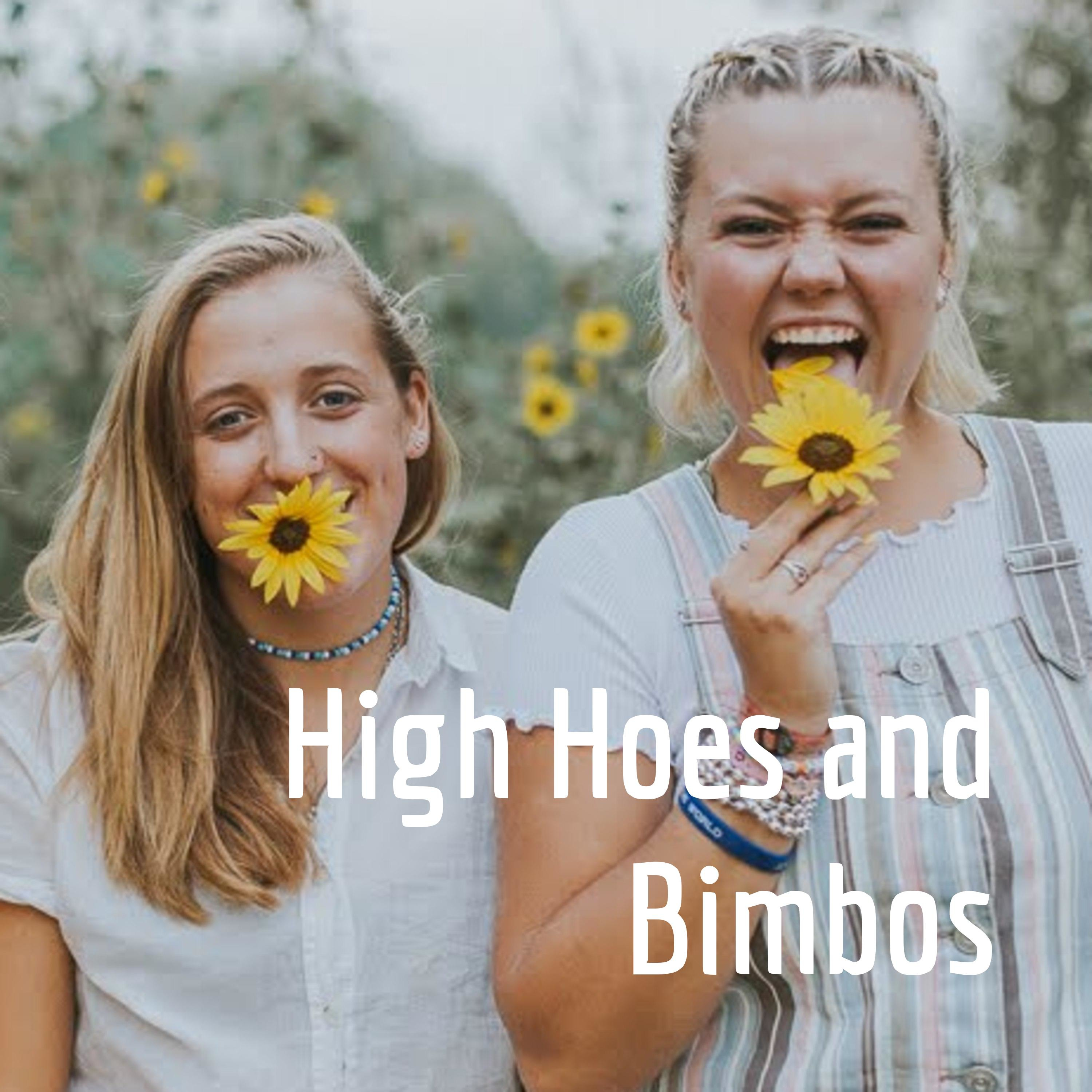 High Hoes and Bimbos