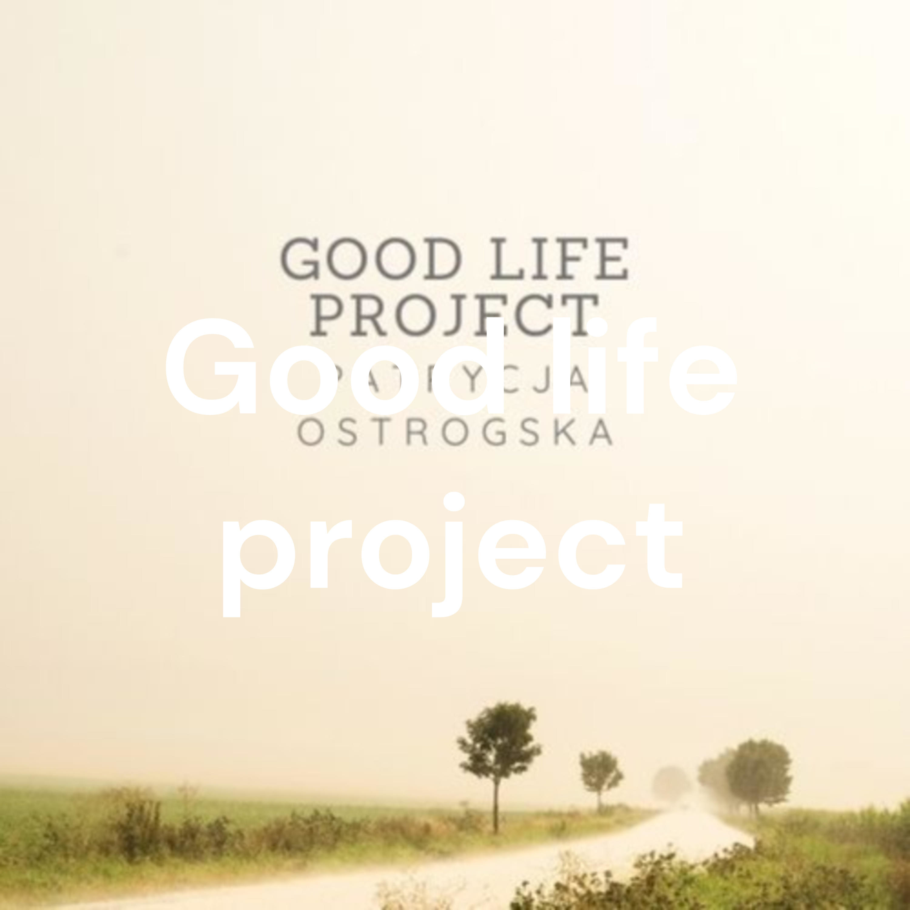 Good life project cover