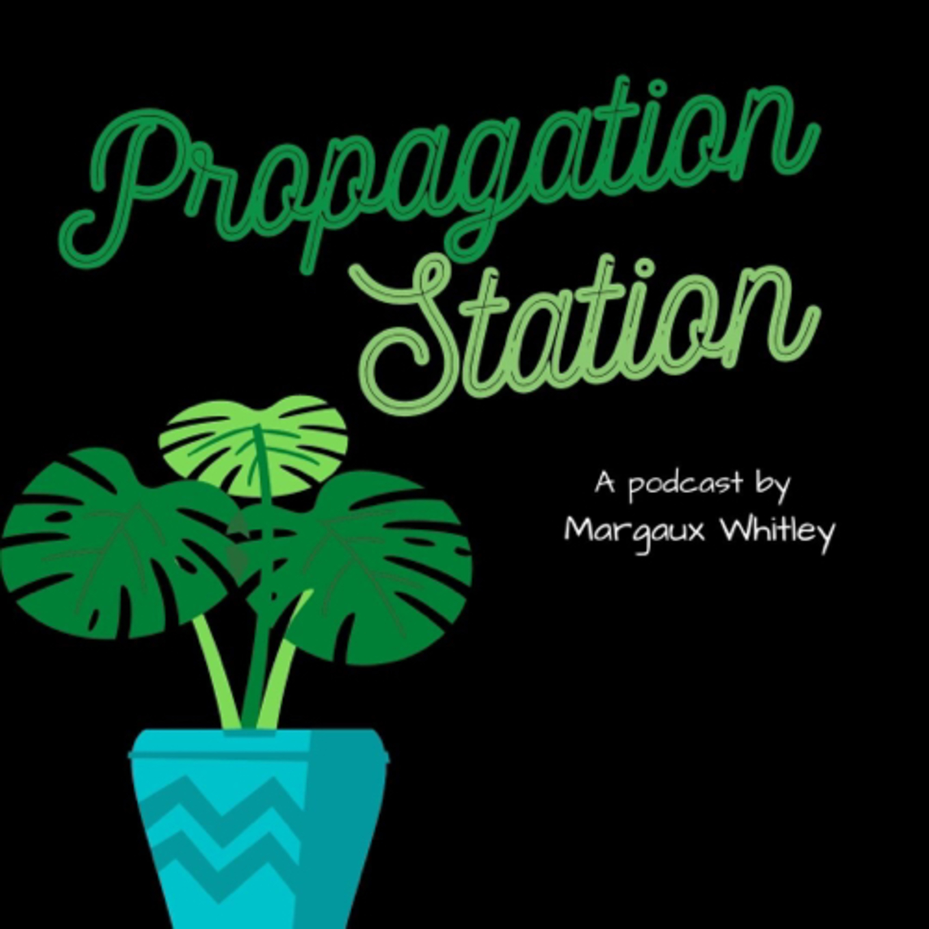 Propagation Station