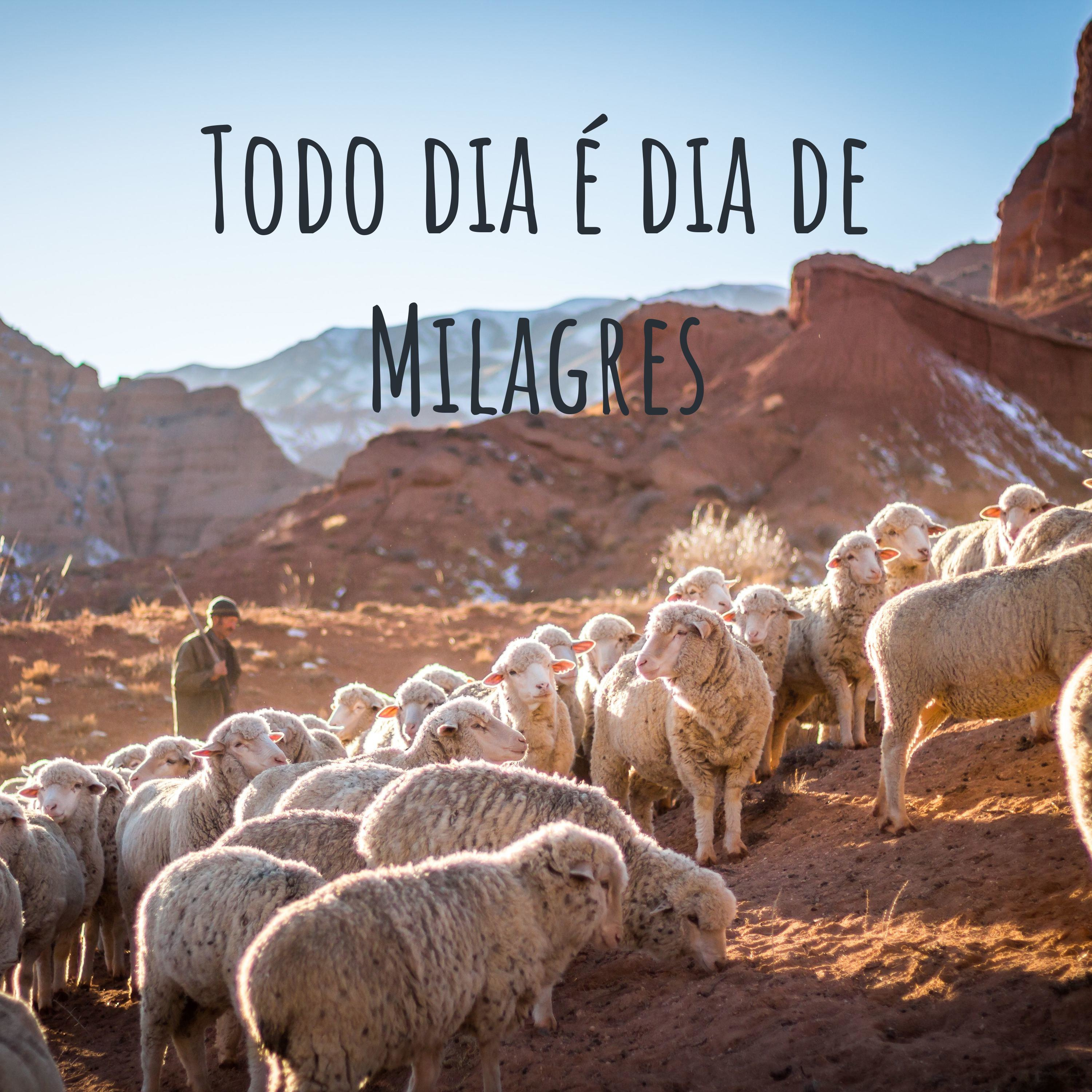 Todo dia é dia de Milagres
