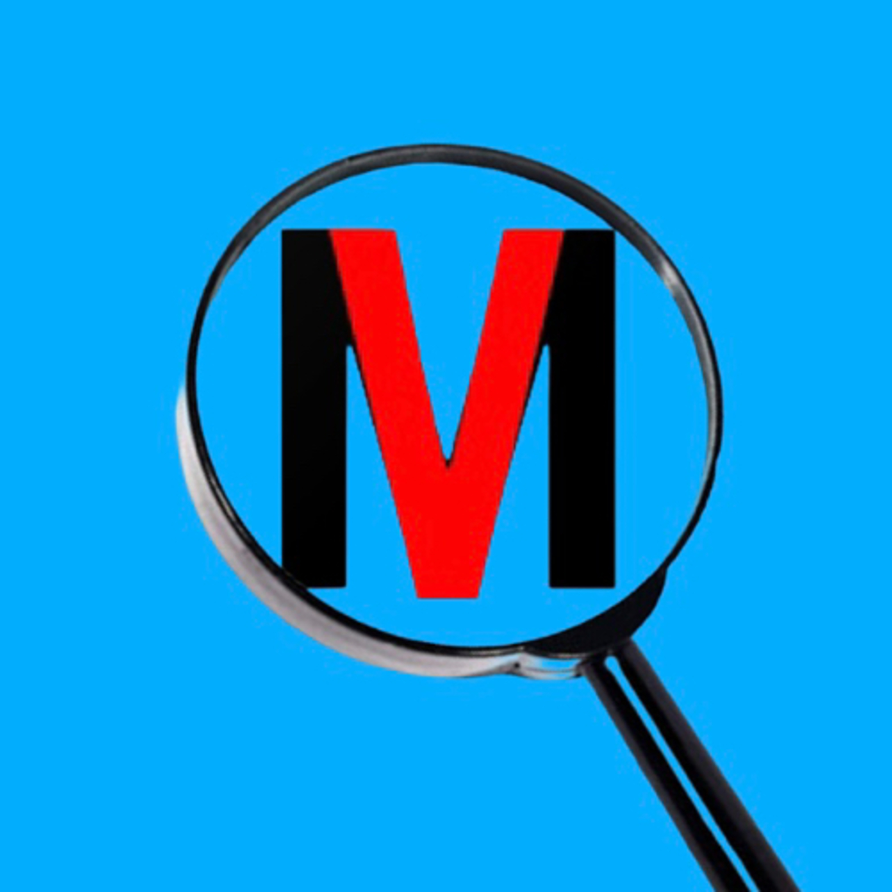 VisionMagnified