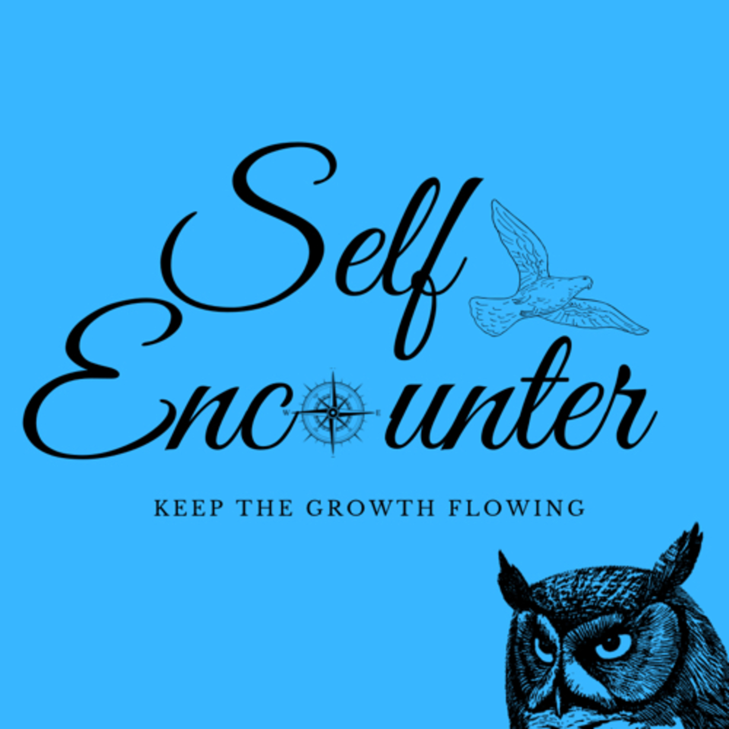 Self Encounter Show podcast artwork