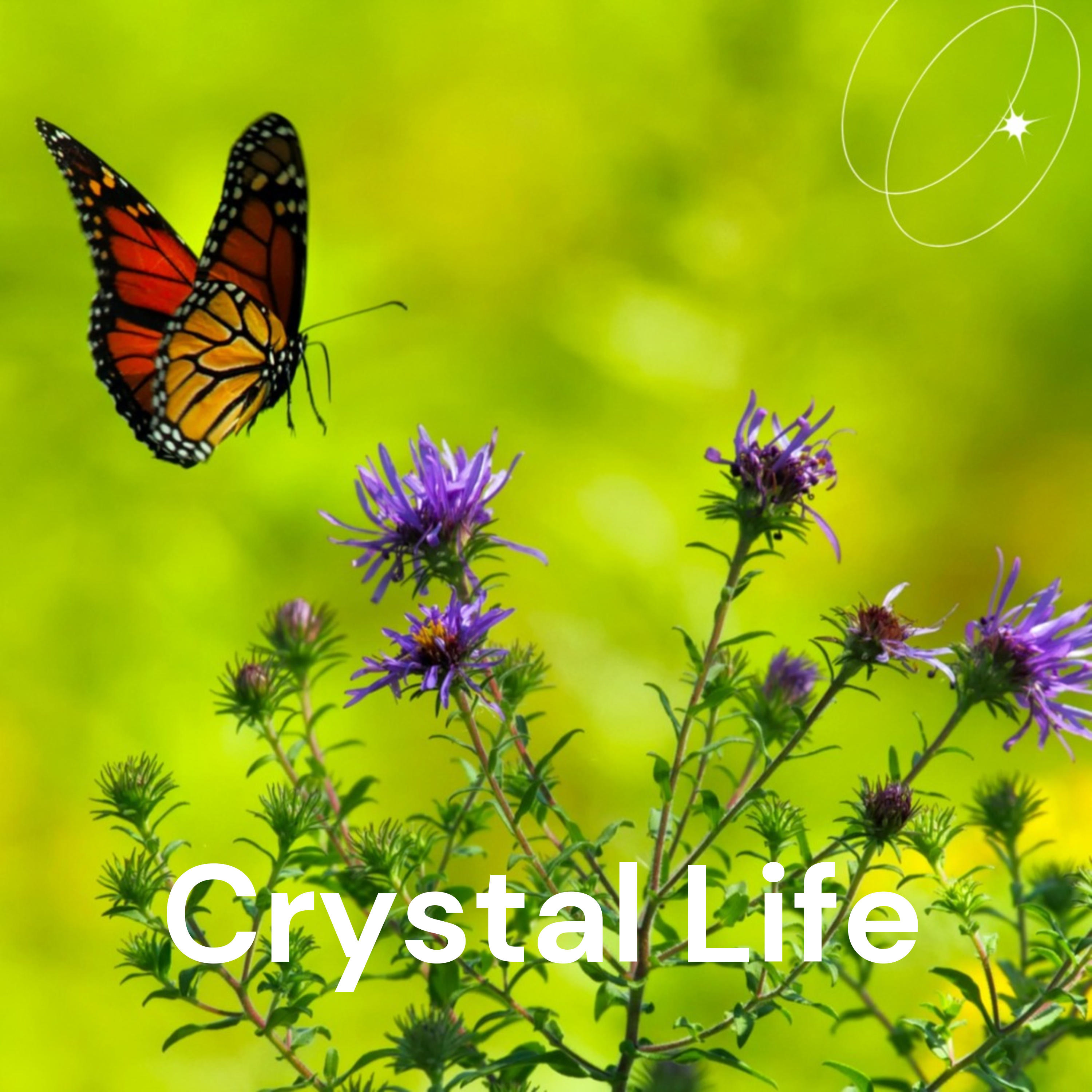 Crystal Life - Crystals & Life