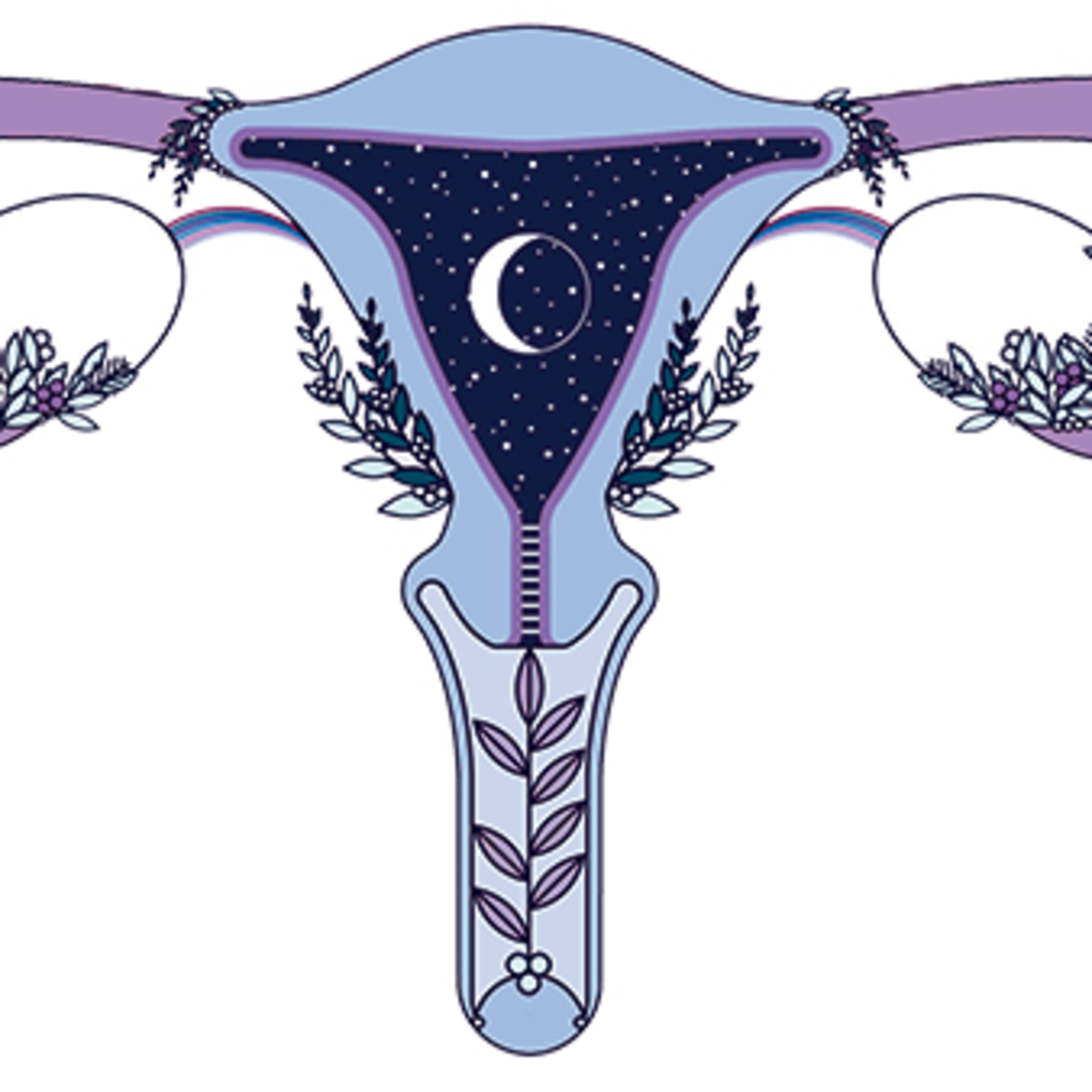Happy vaginas podcast artwork