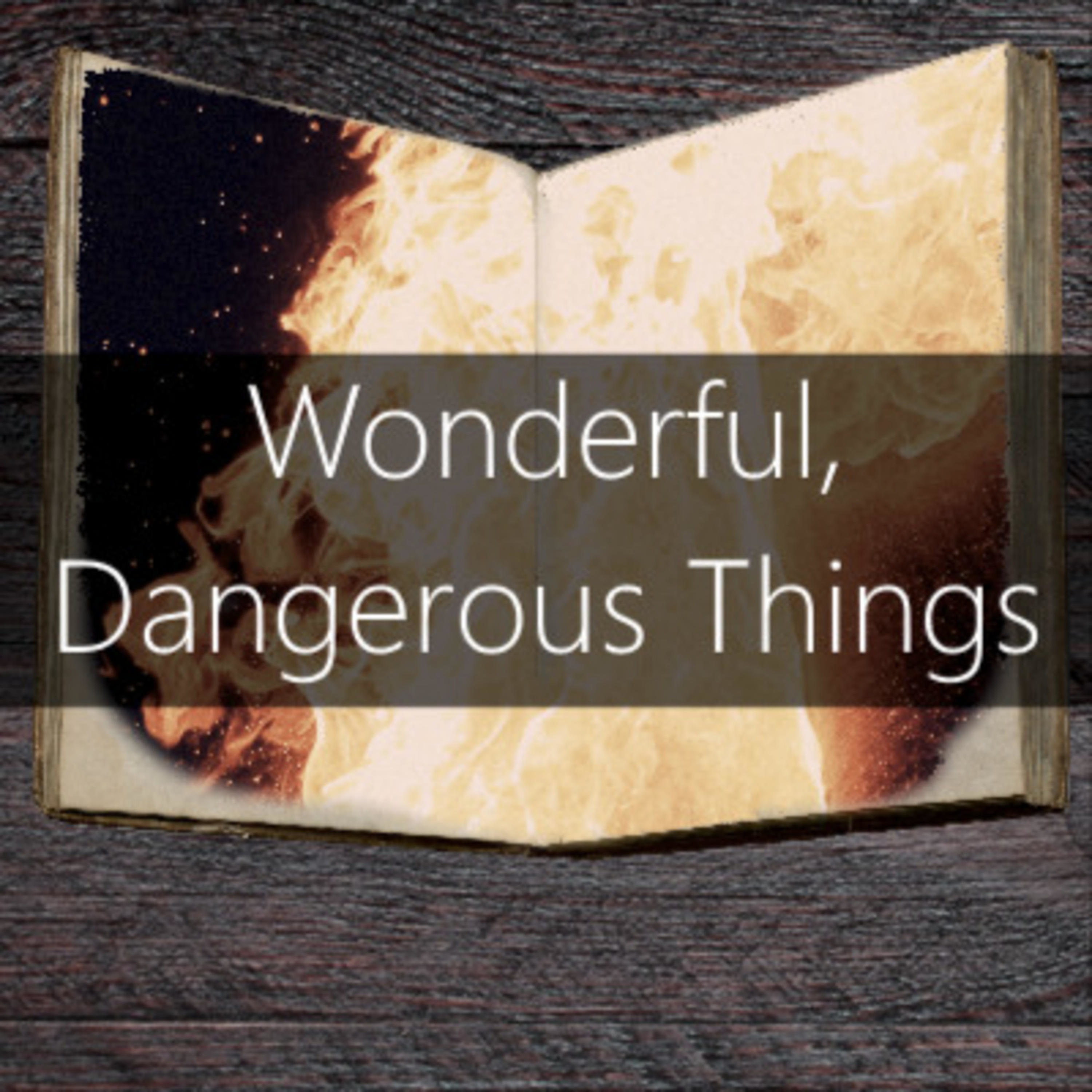 Wonderful, Dangerous Things