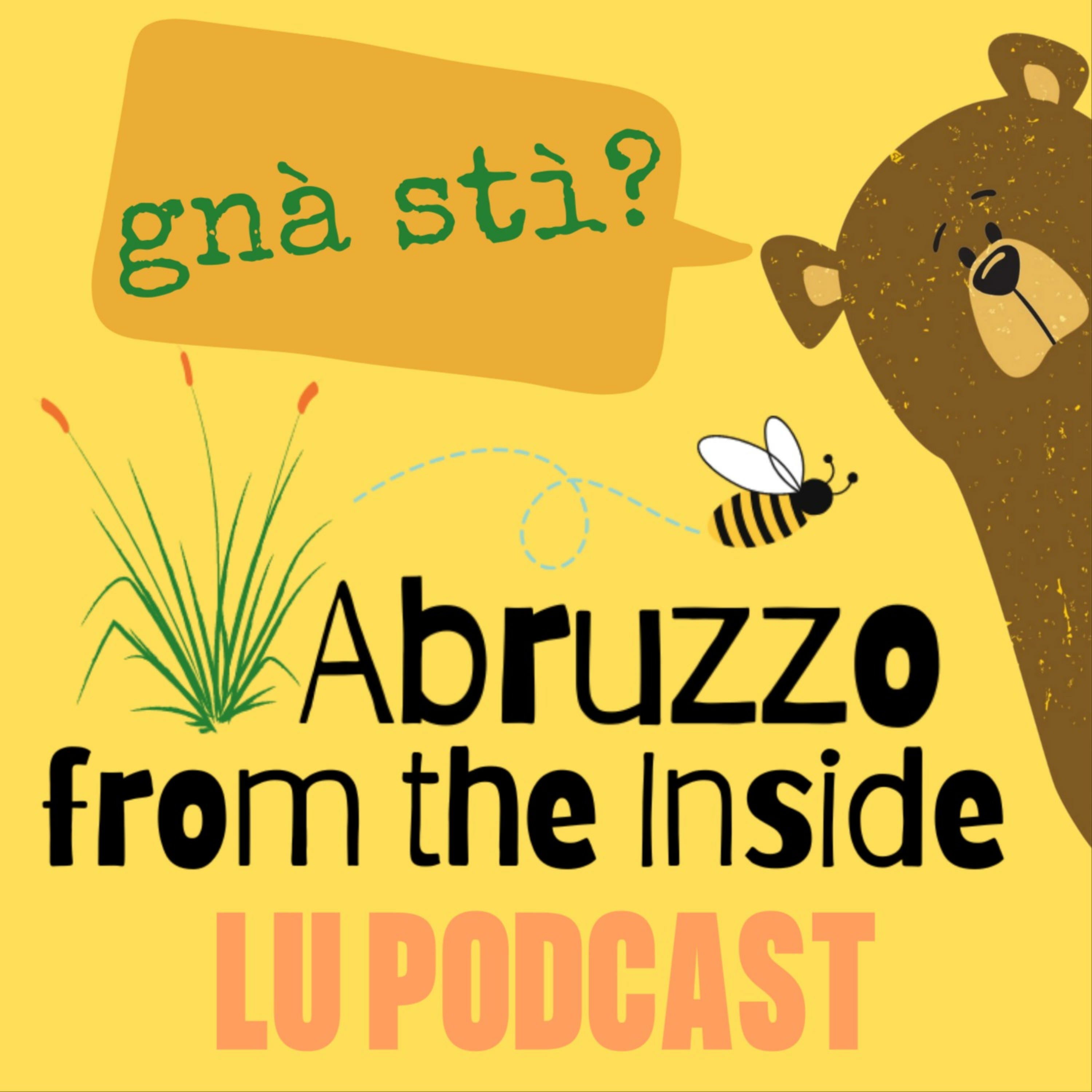 Abruzzo from the Inside podcast artwork