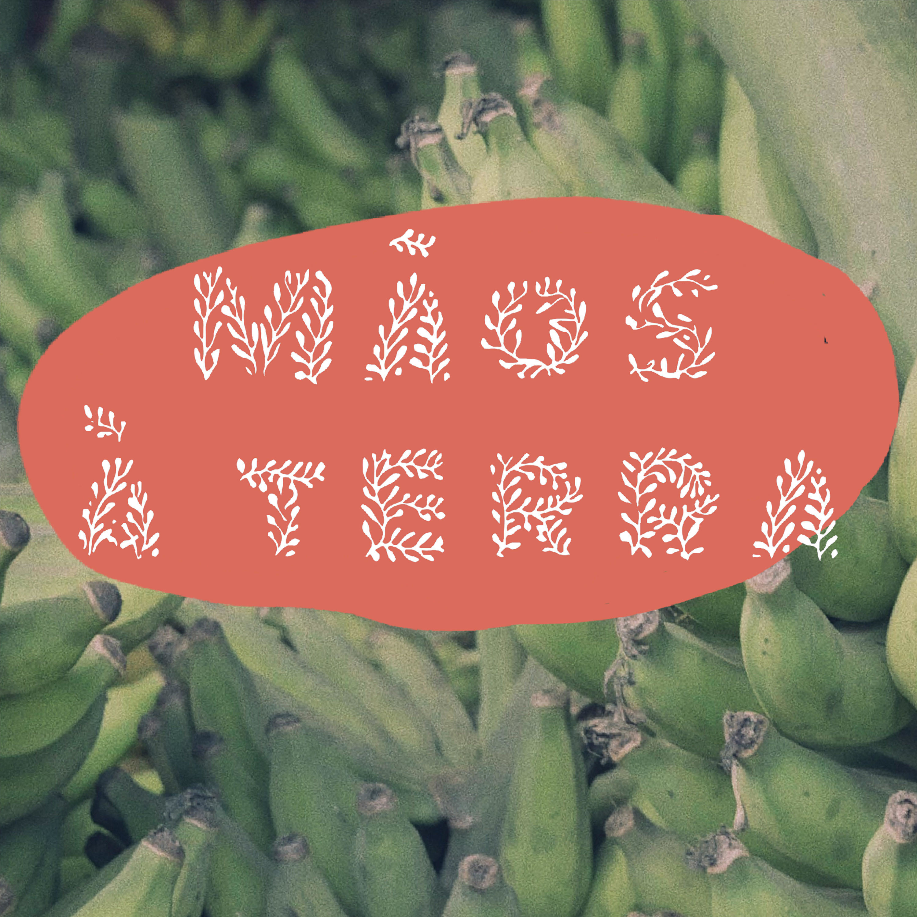 Mãos à Terra