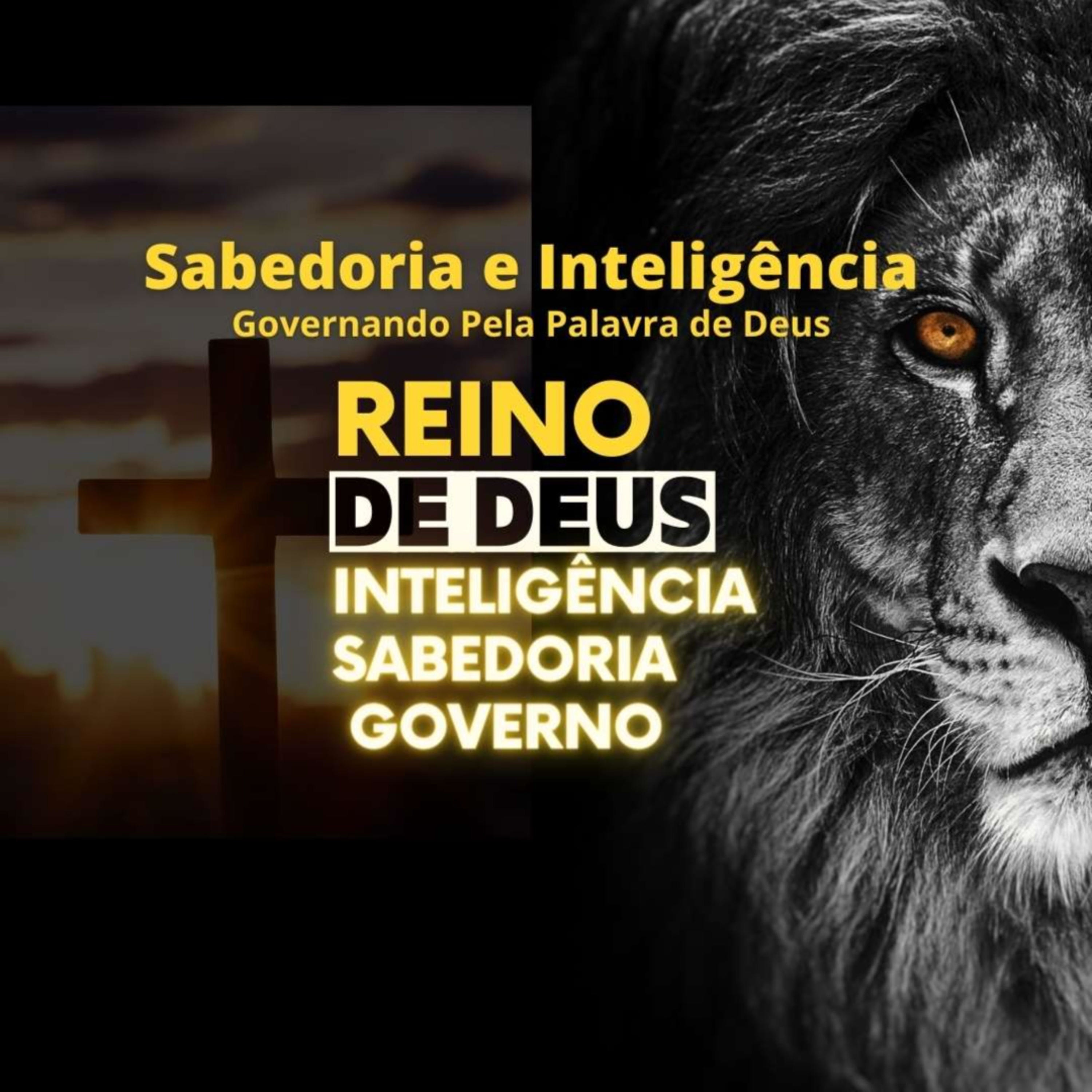 Sabedoria e Inteligência do Reino de Deus