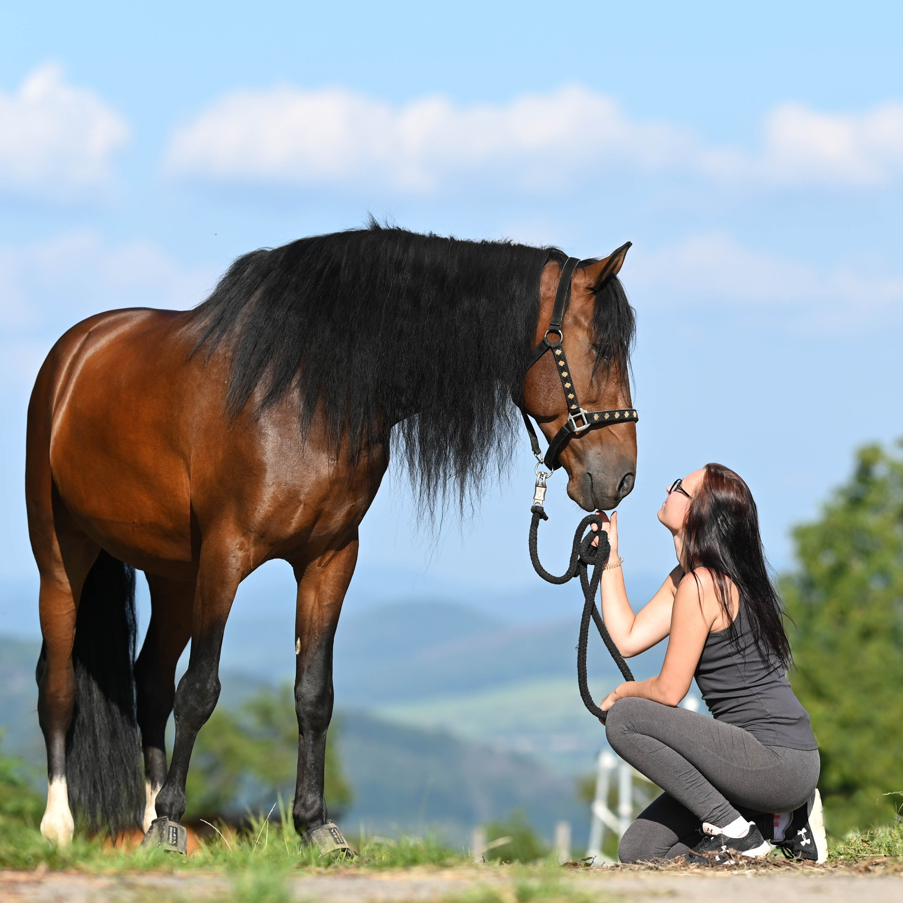 Equine_study 🐴 podcast artwork
