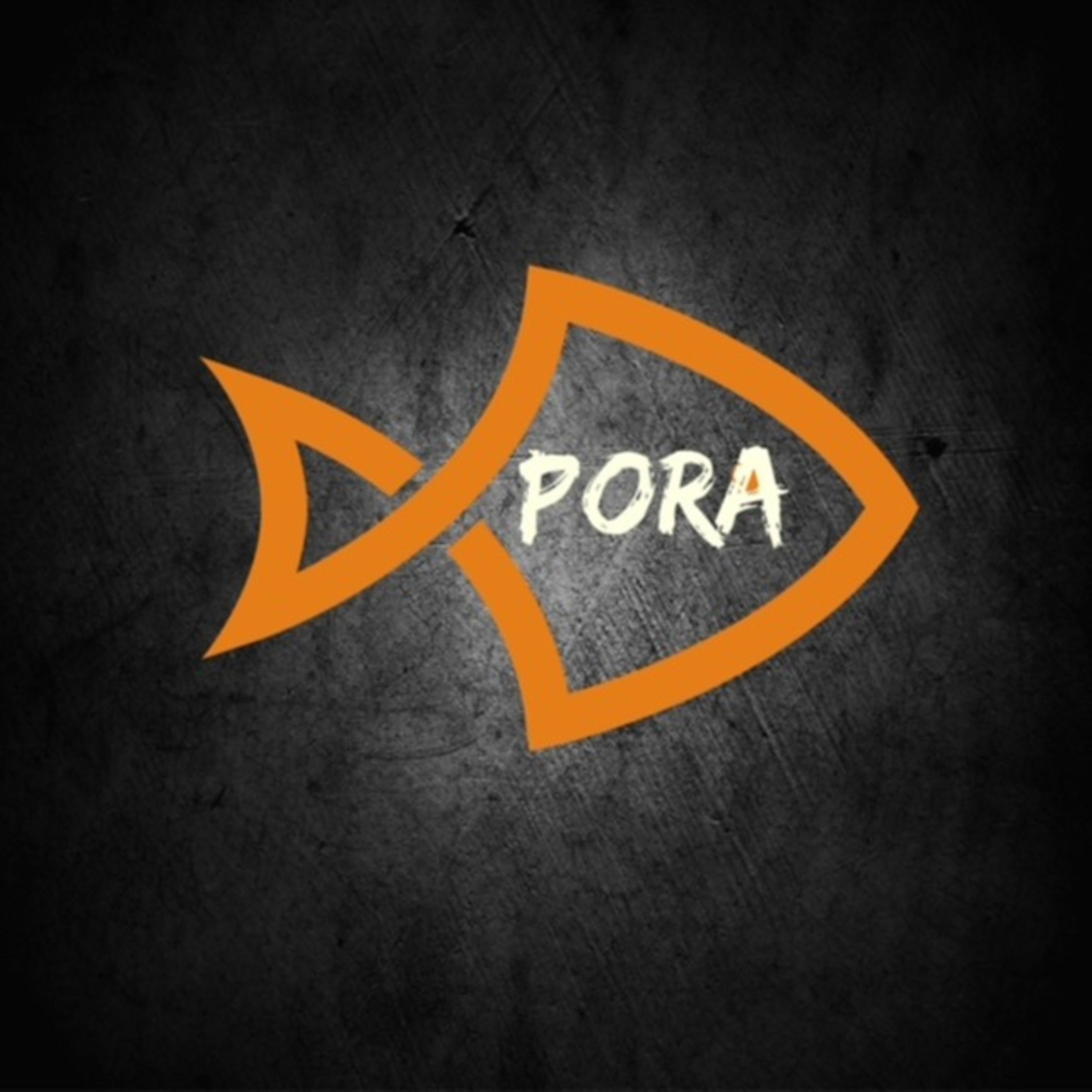 PorA