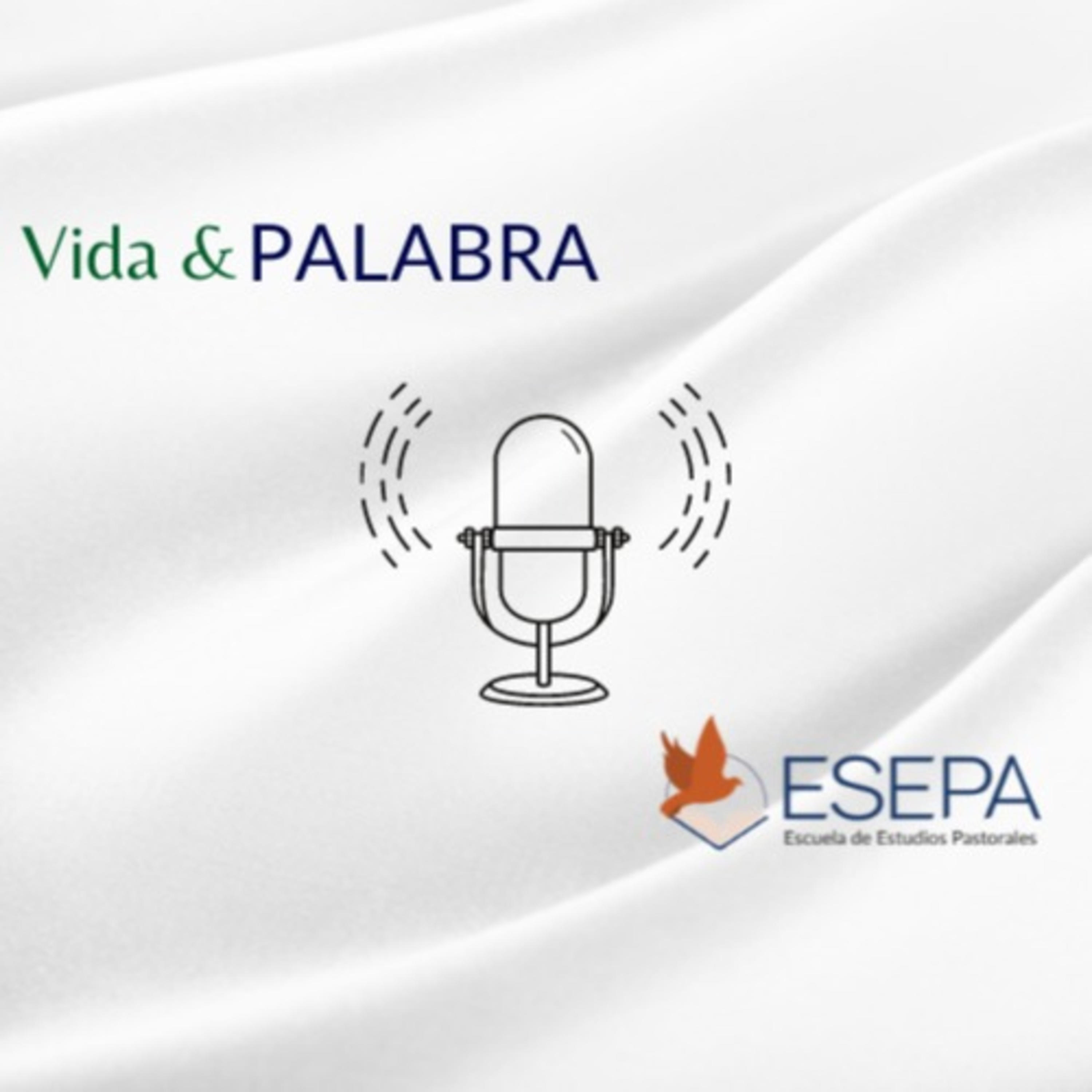 Vida&PALABRA podcast artwork