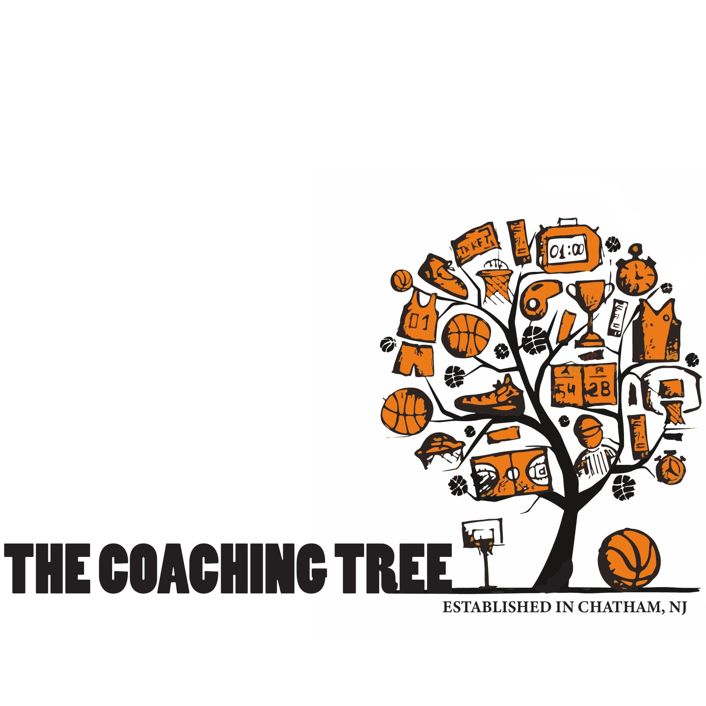 The Coaching Tree