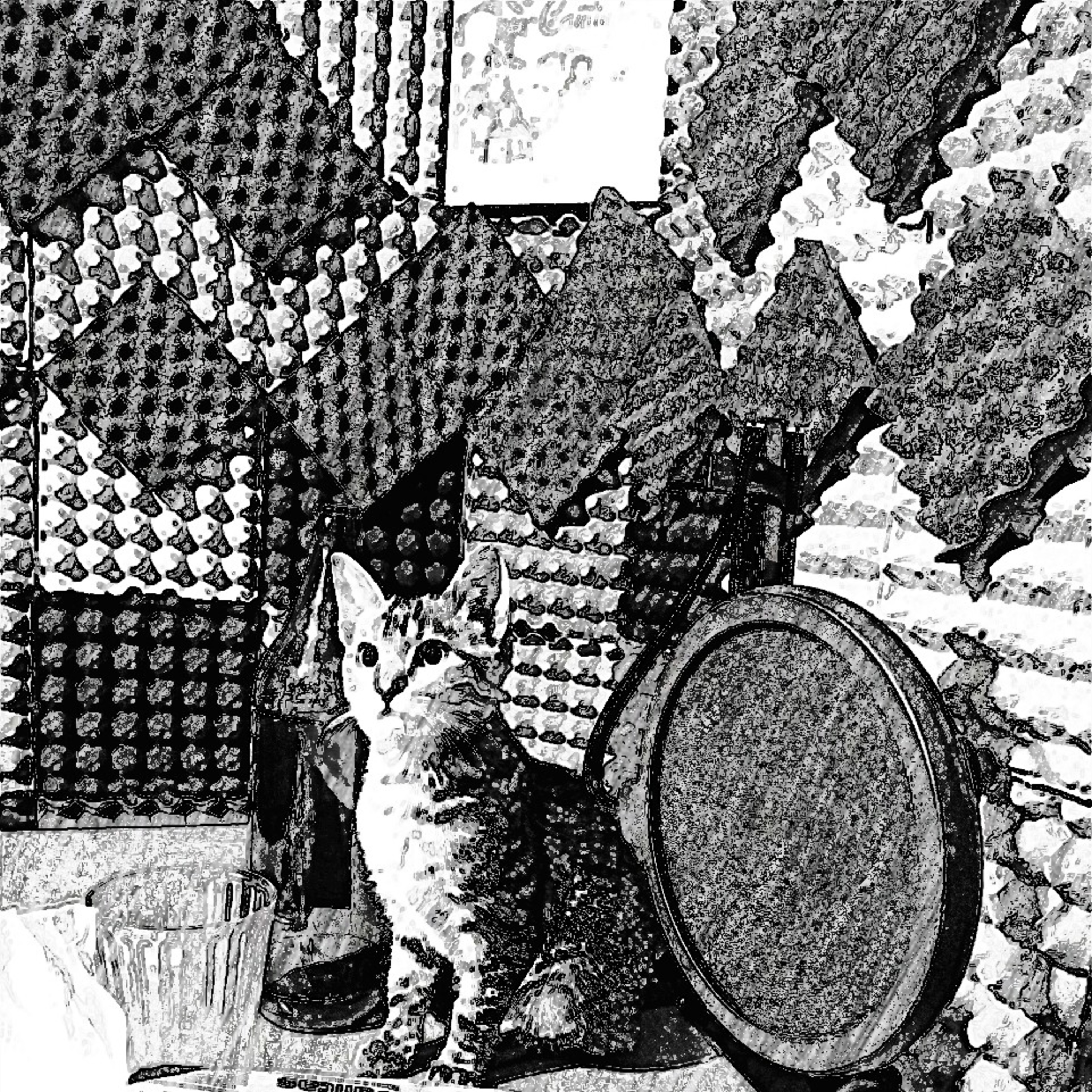 El gato miau