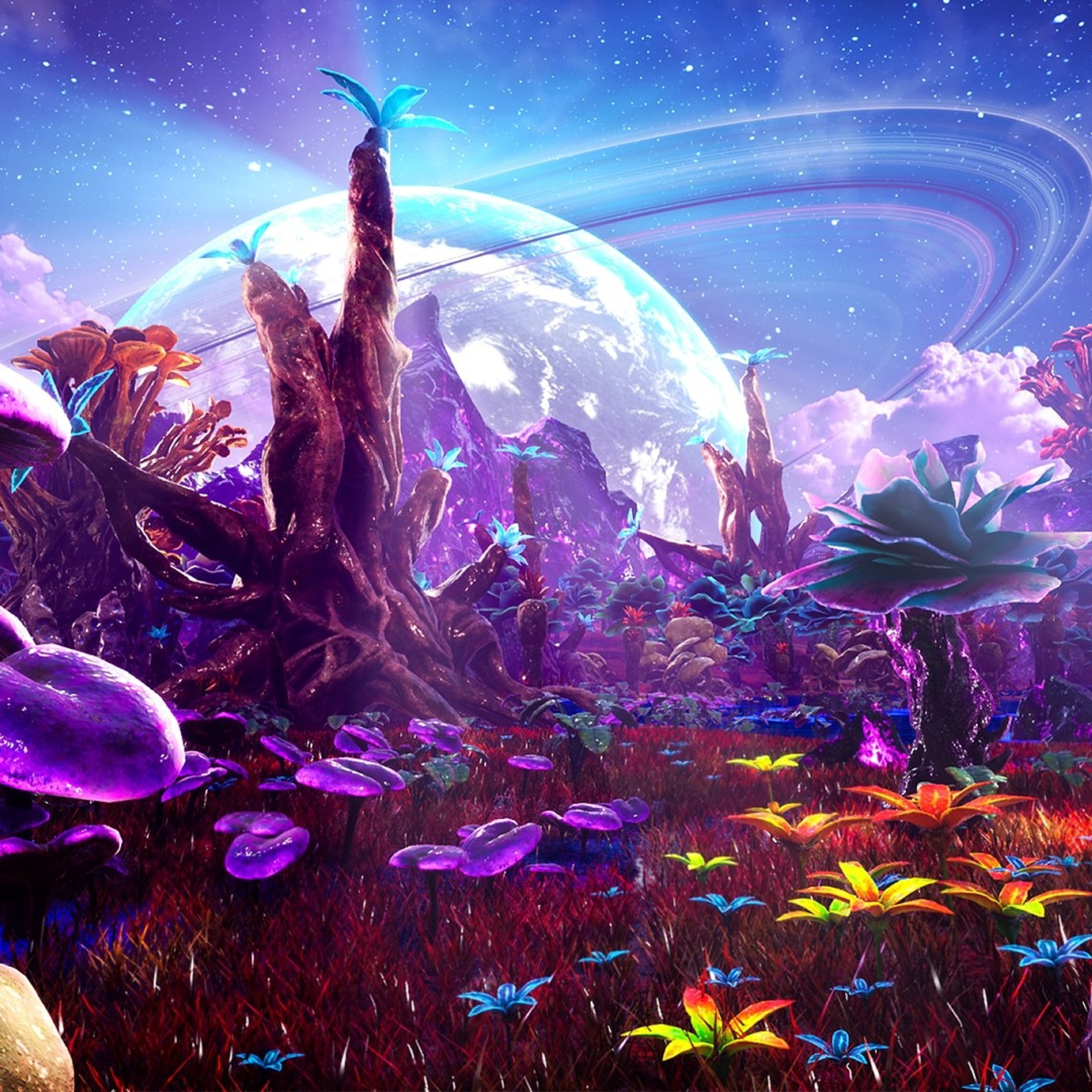 Strange New World , With icarus and cassandra podcast artwork