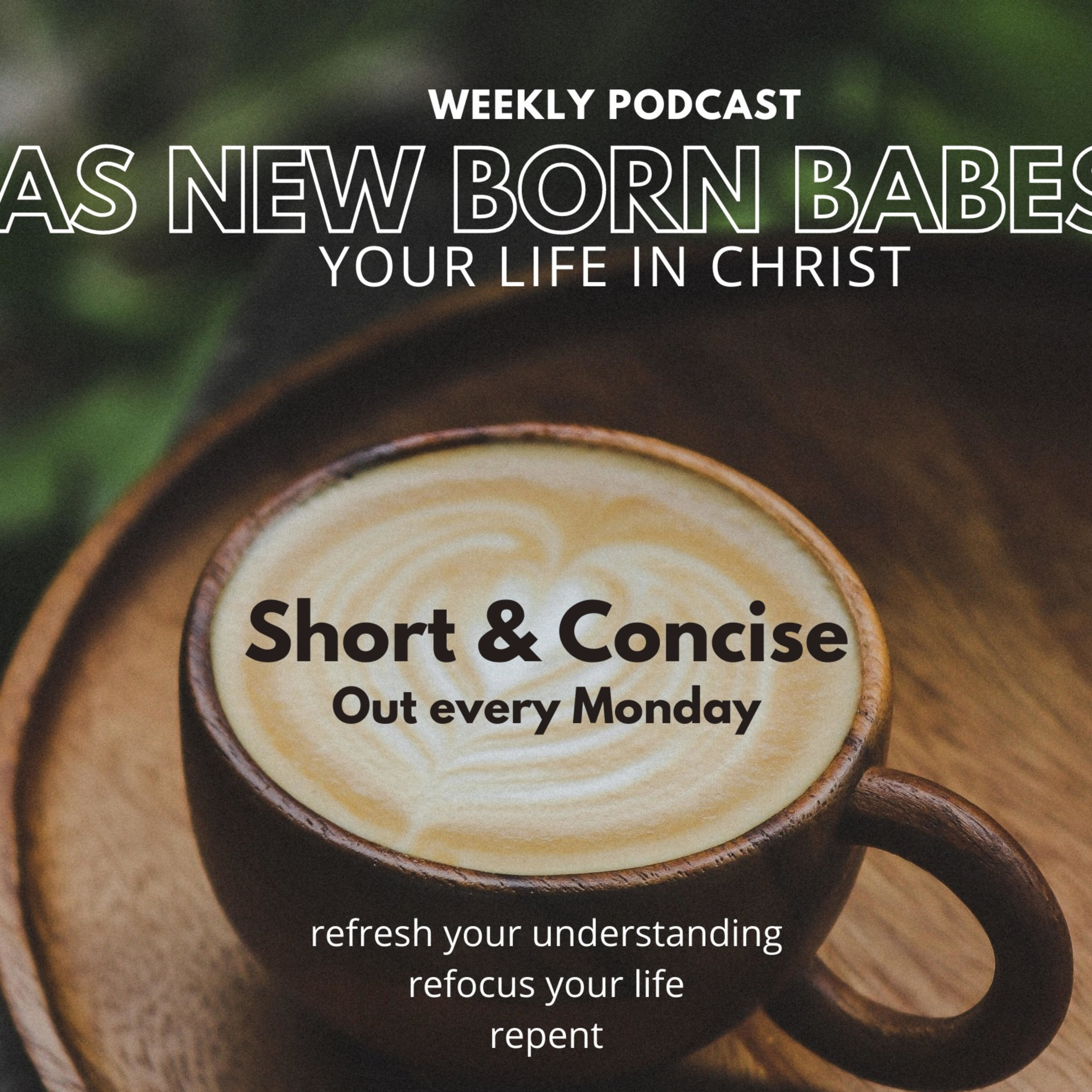 As New Born Babes... podcast artwork