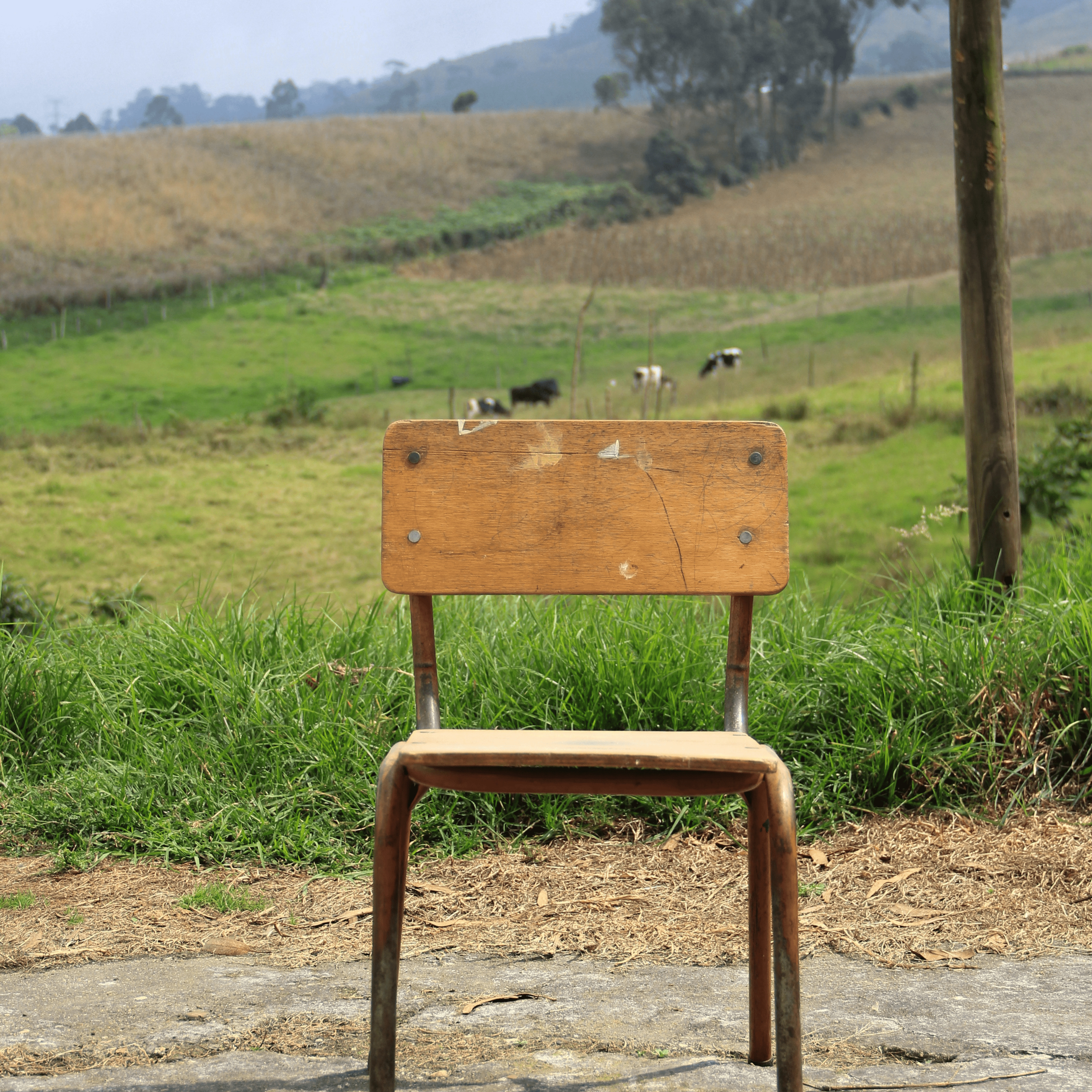 Educación humanista