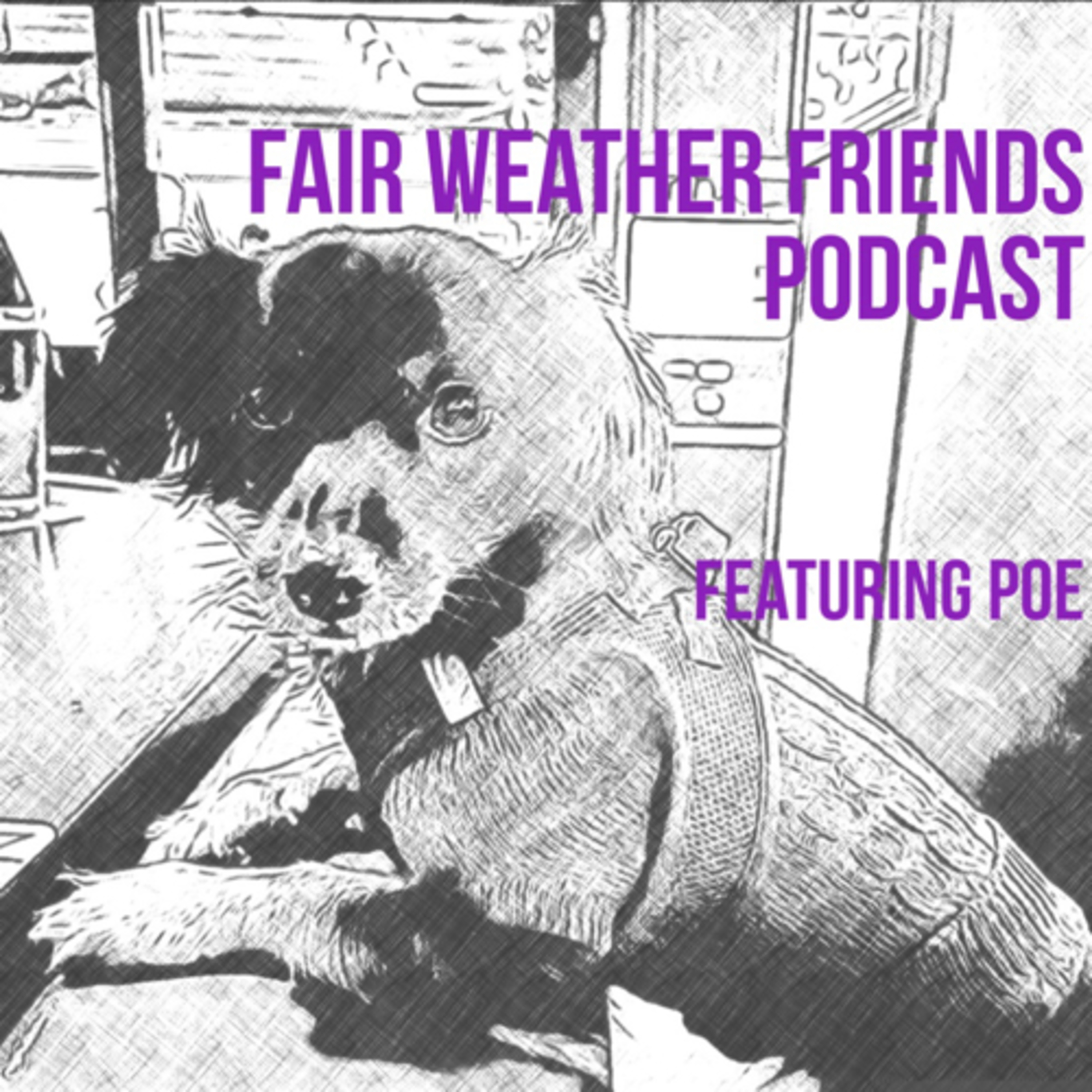 Fair Weather Friends, featuring Poe podcast artwork