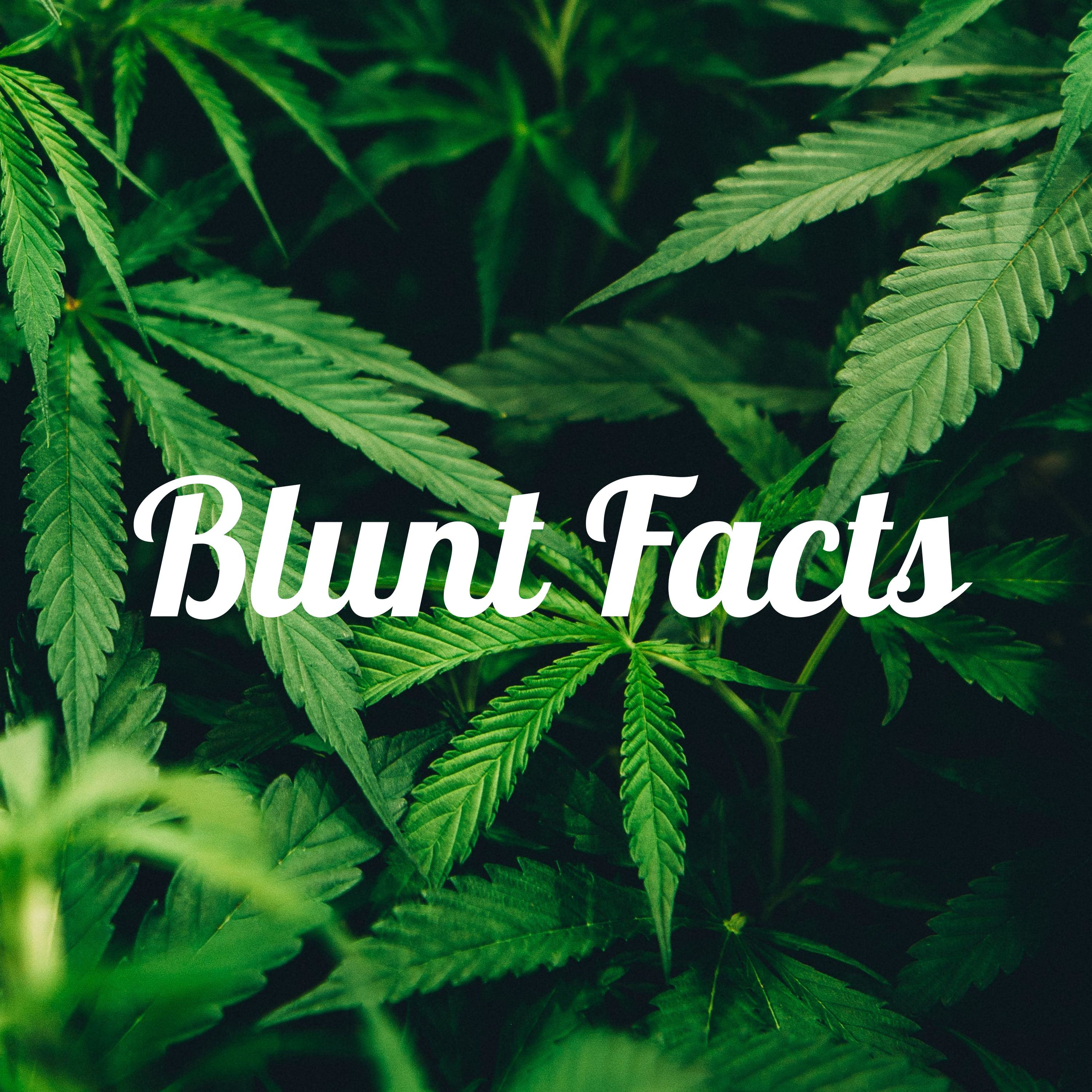 Blunt Facts podcast artwork