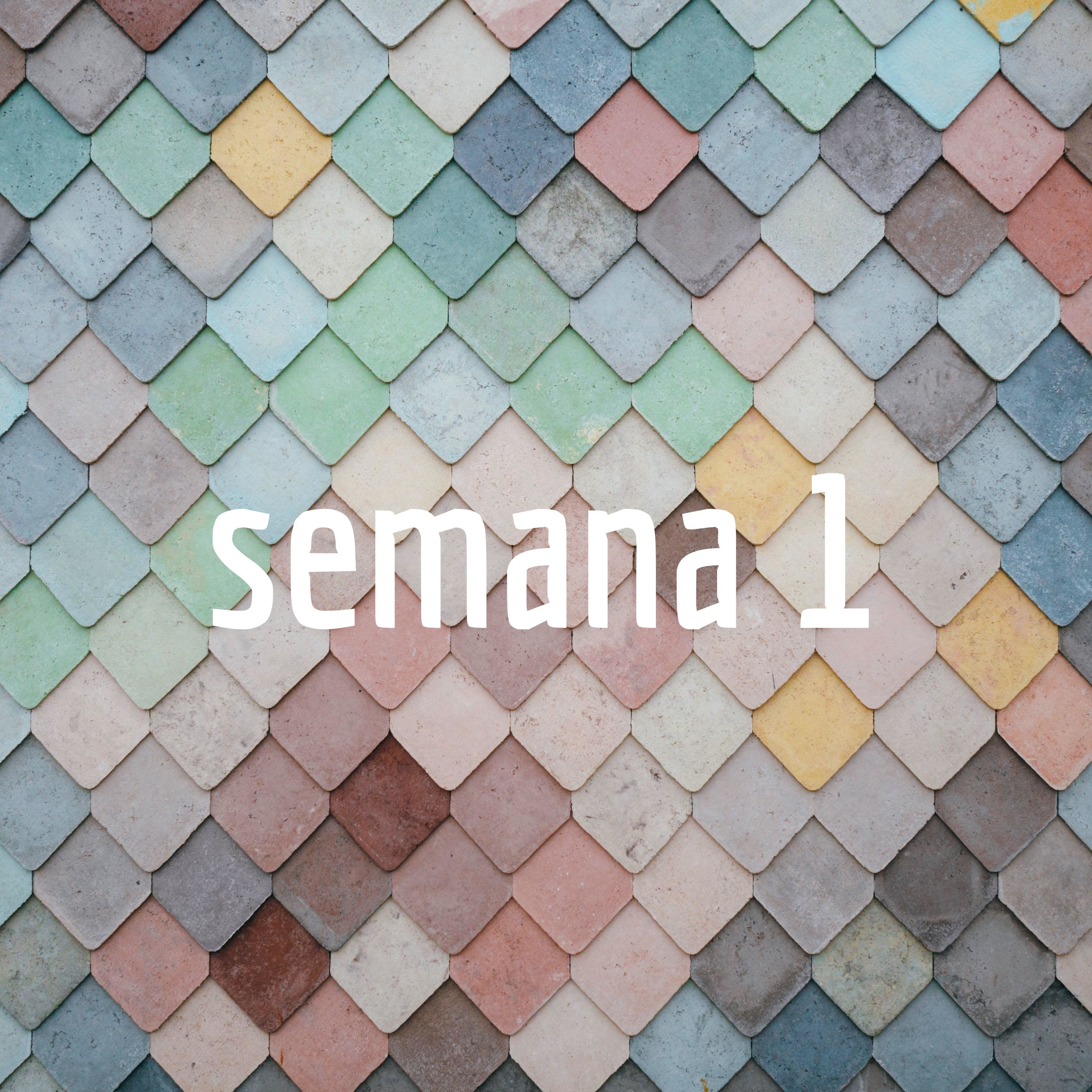 Semana 4
