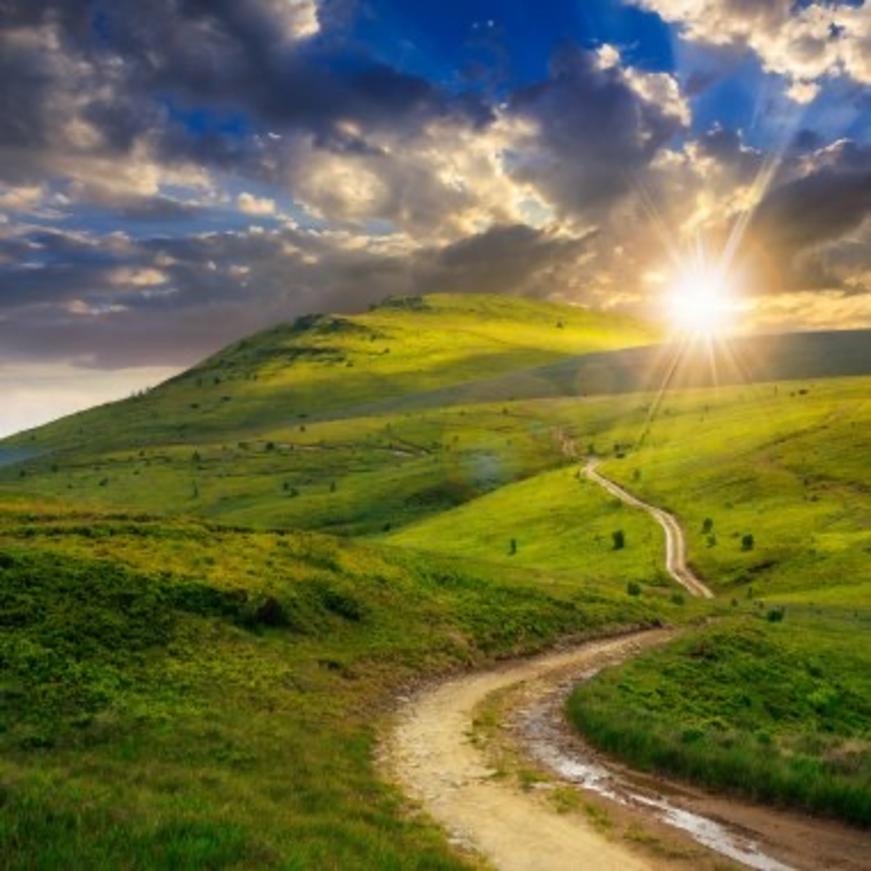 Follow Your Path with Cara Hunter