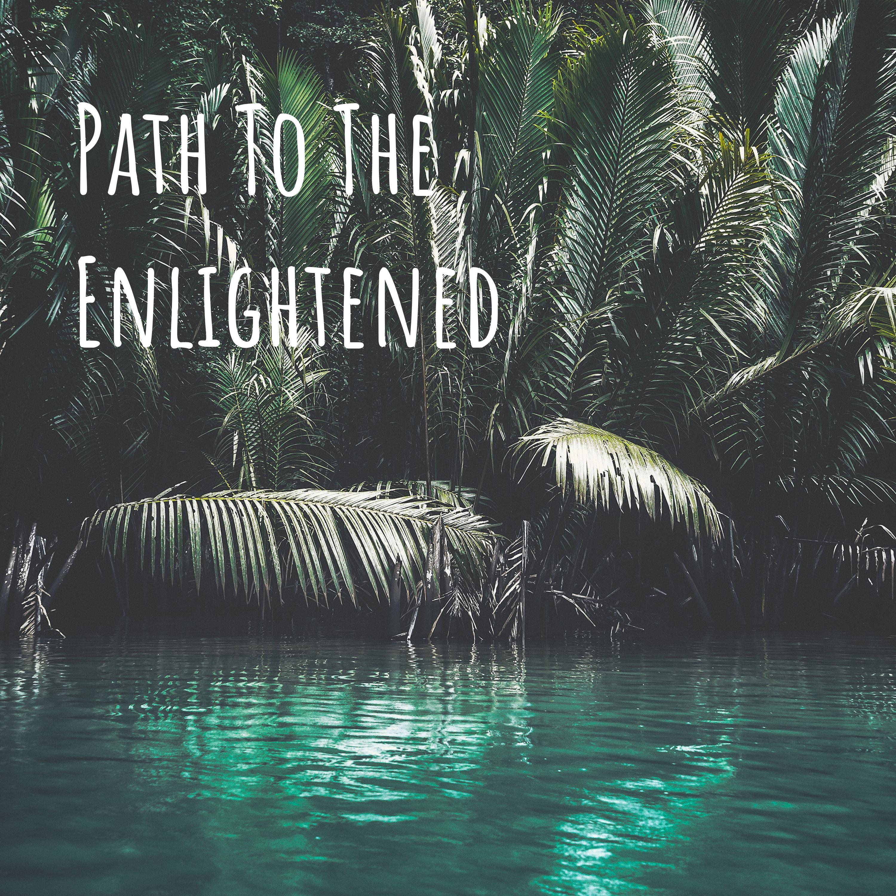 Path To The Enlightened podcast artwork