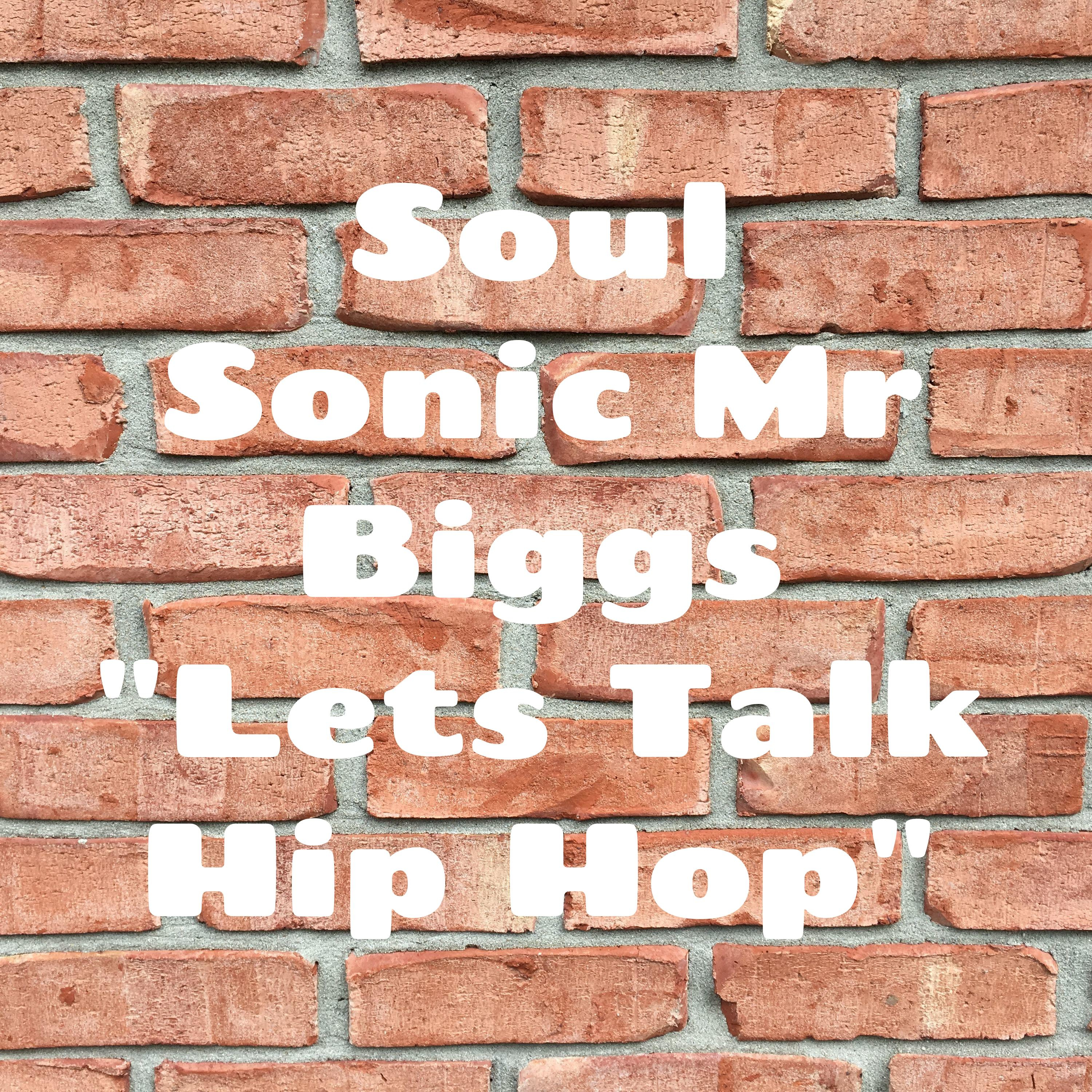 Soul Sonic Mr Biggs \