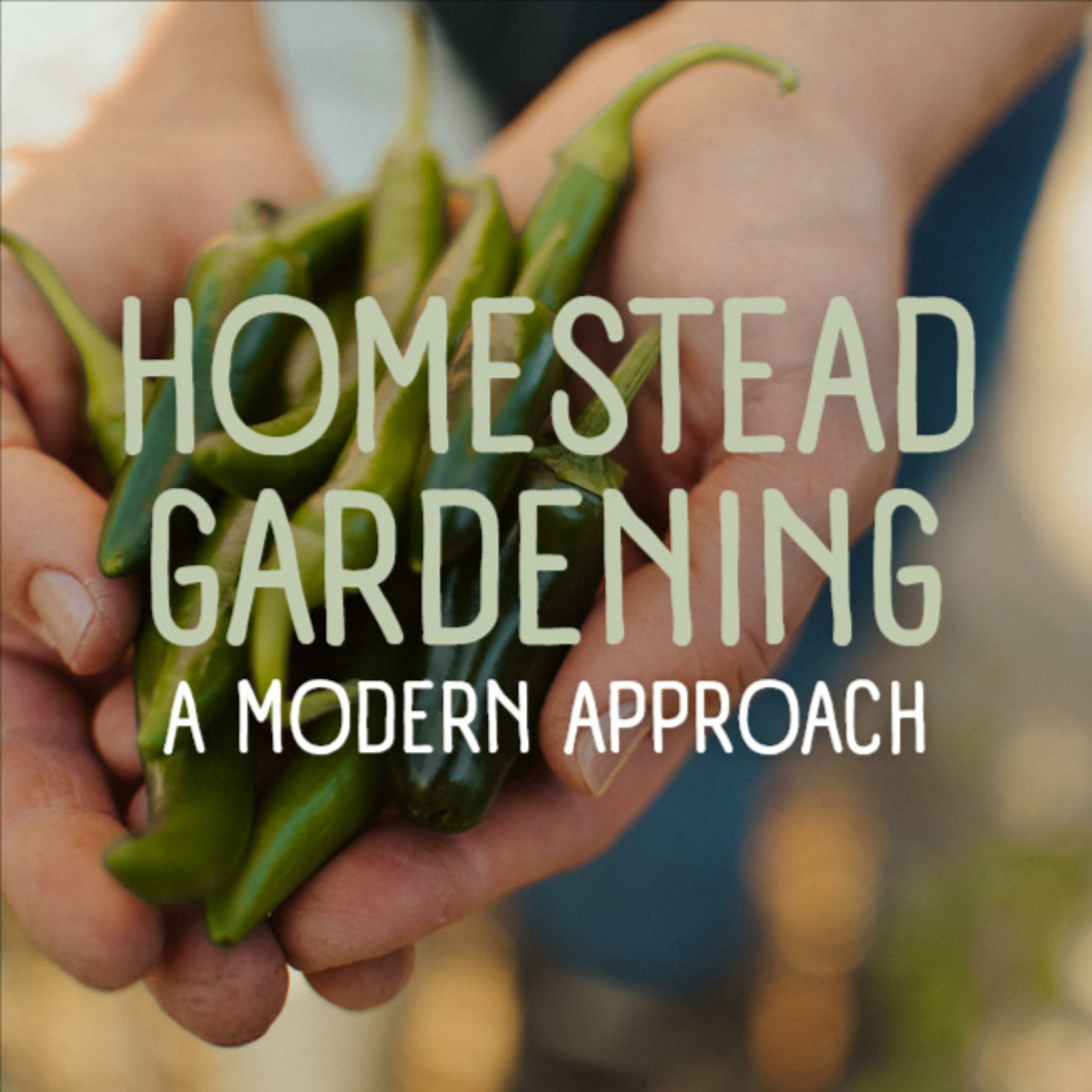 Homestead Gardening: A Modern Approach