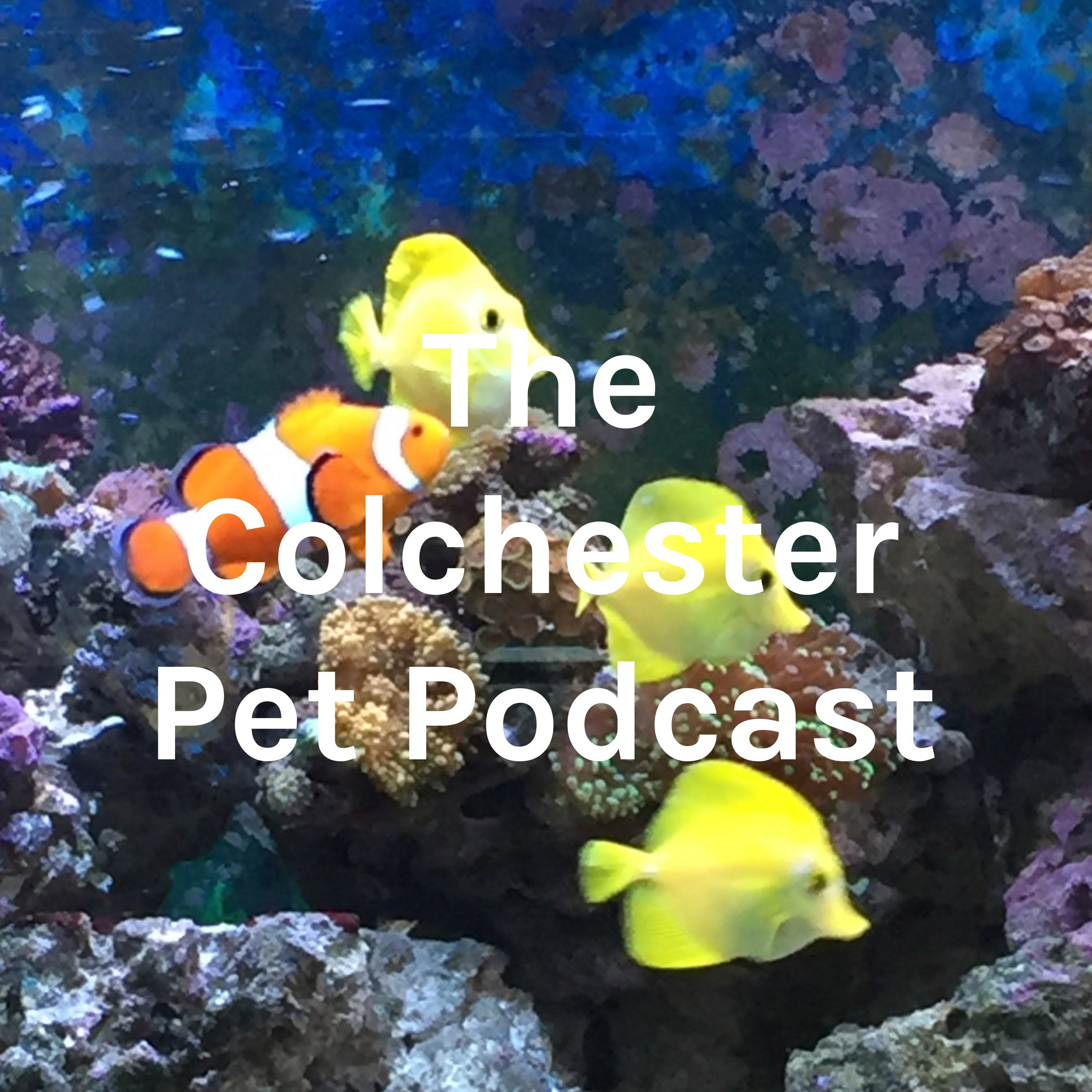 Fish R Friends Podcast 