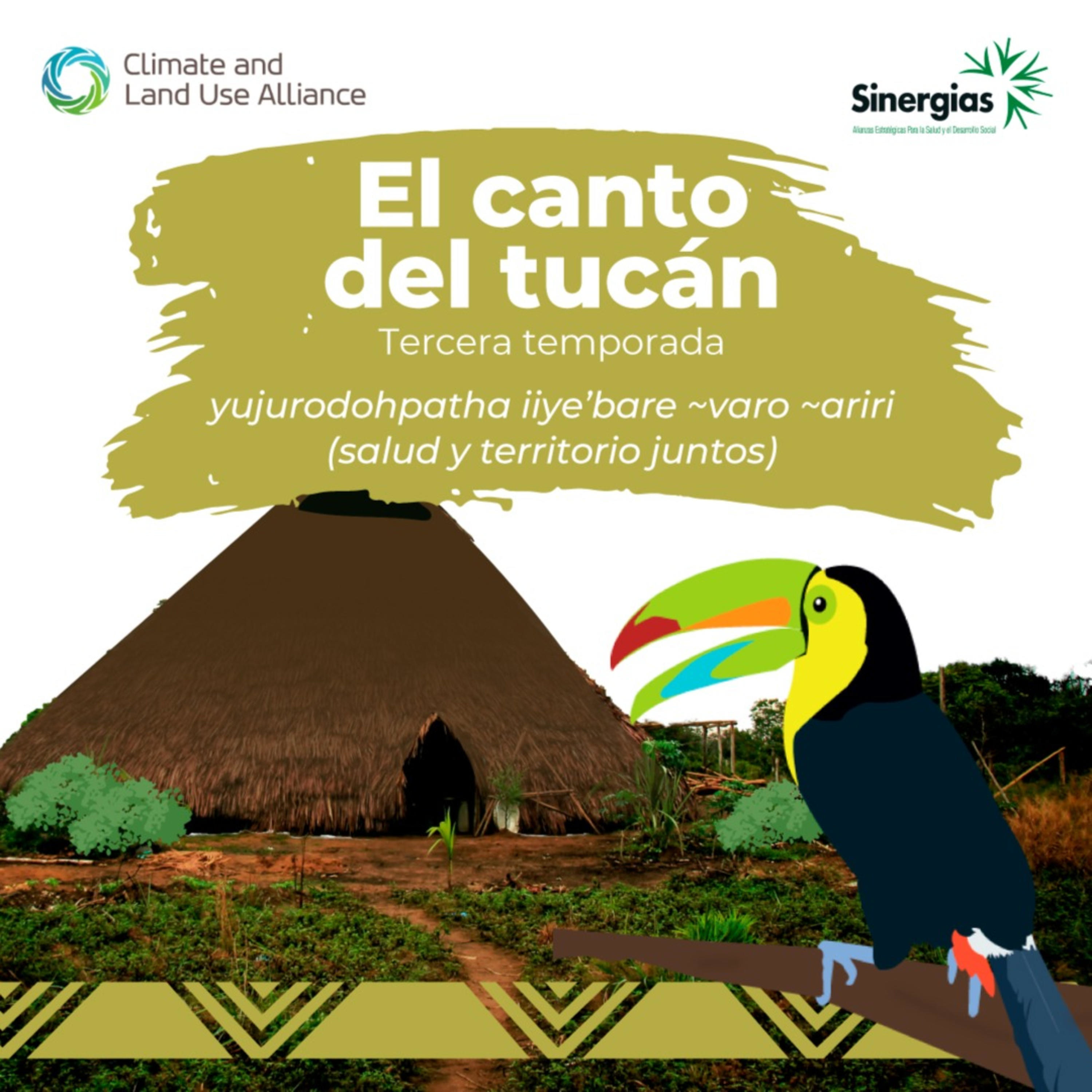 El canto del tucán: yujurodohpatha iiye’bare ~varo ~ariri (salud y territorio juntos) podcast artwork