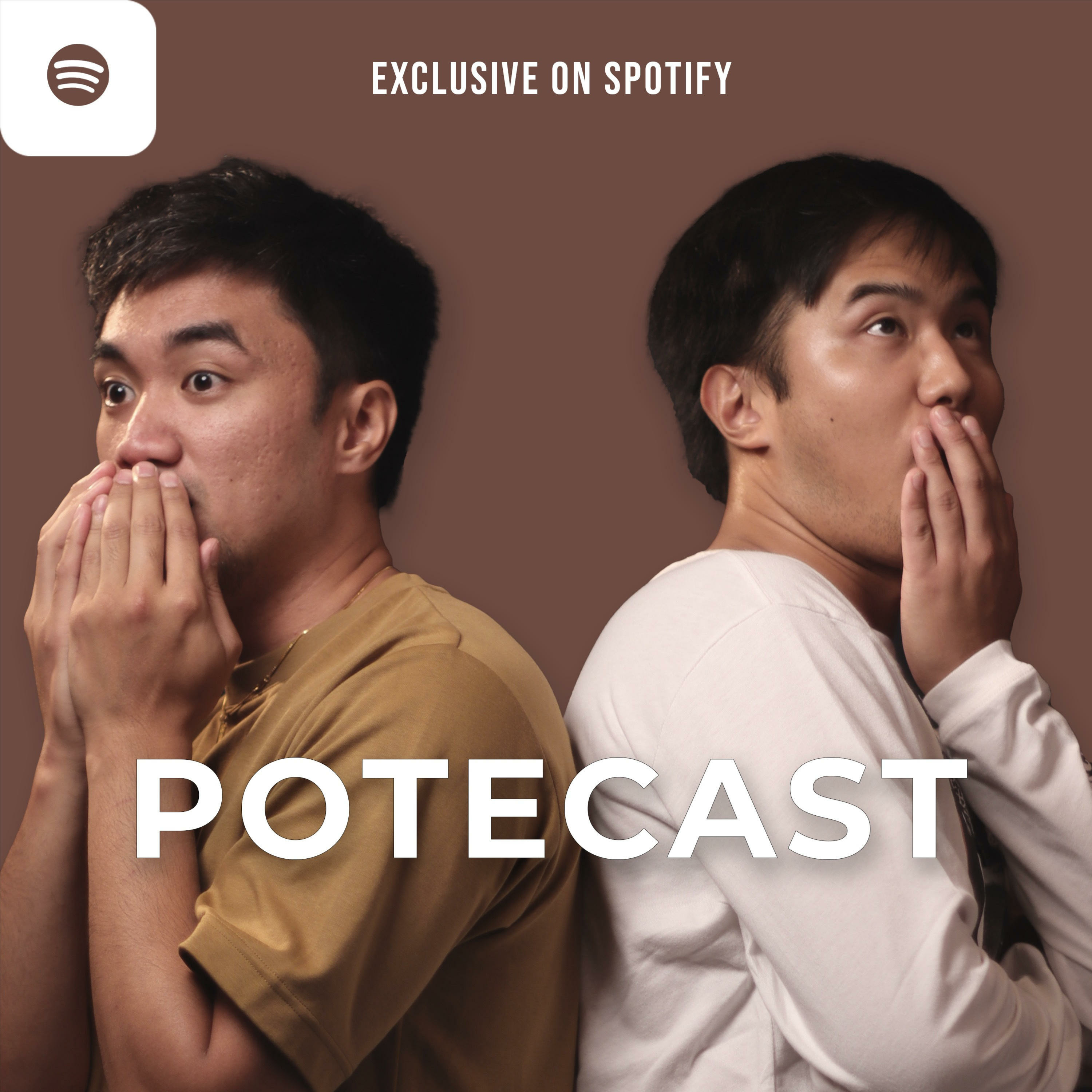 Potecast podcast artwork