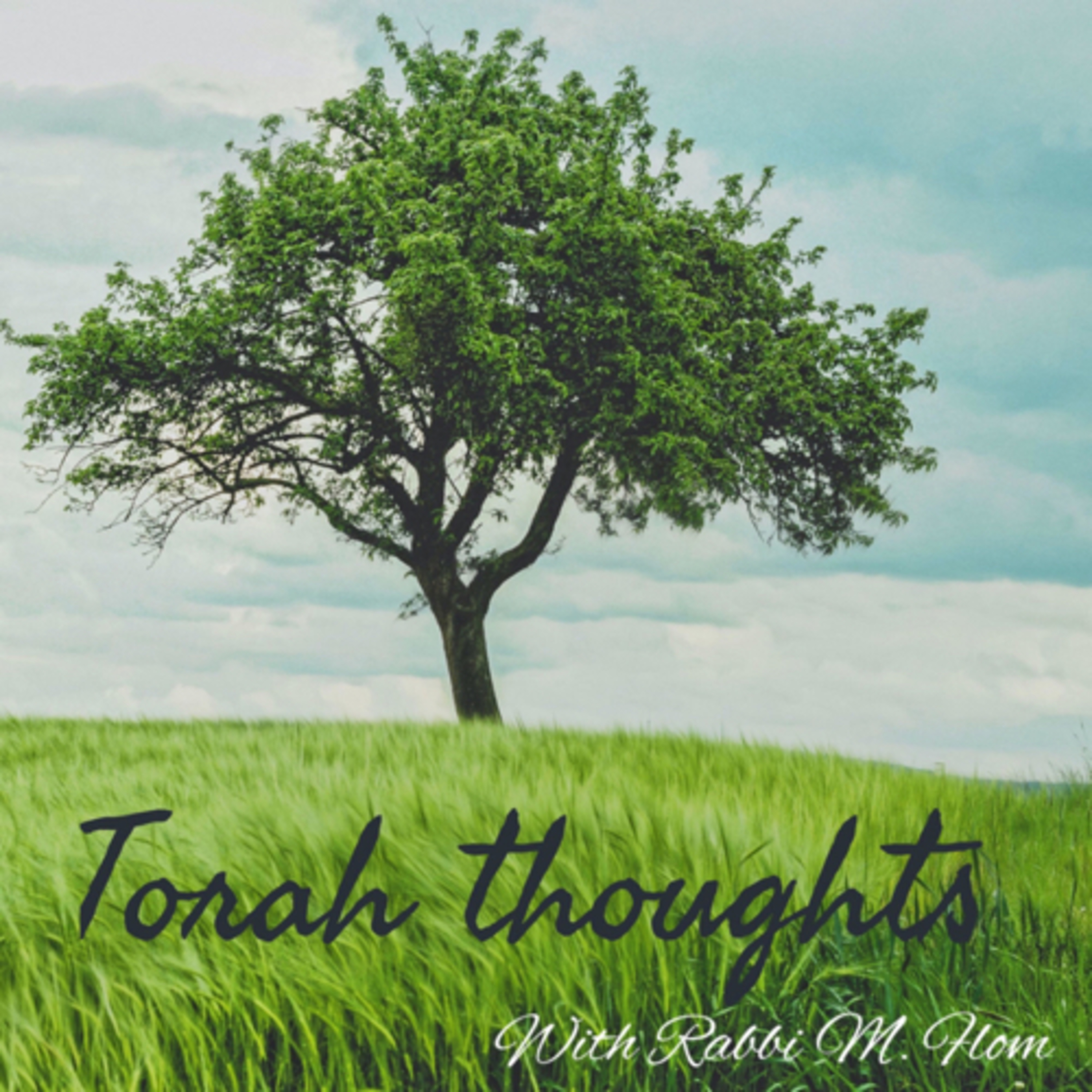 Torah thoughts With Rabbi Menachem Flom