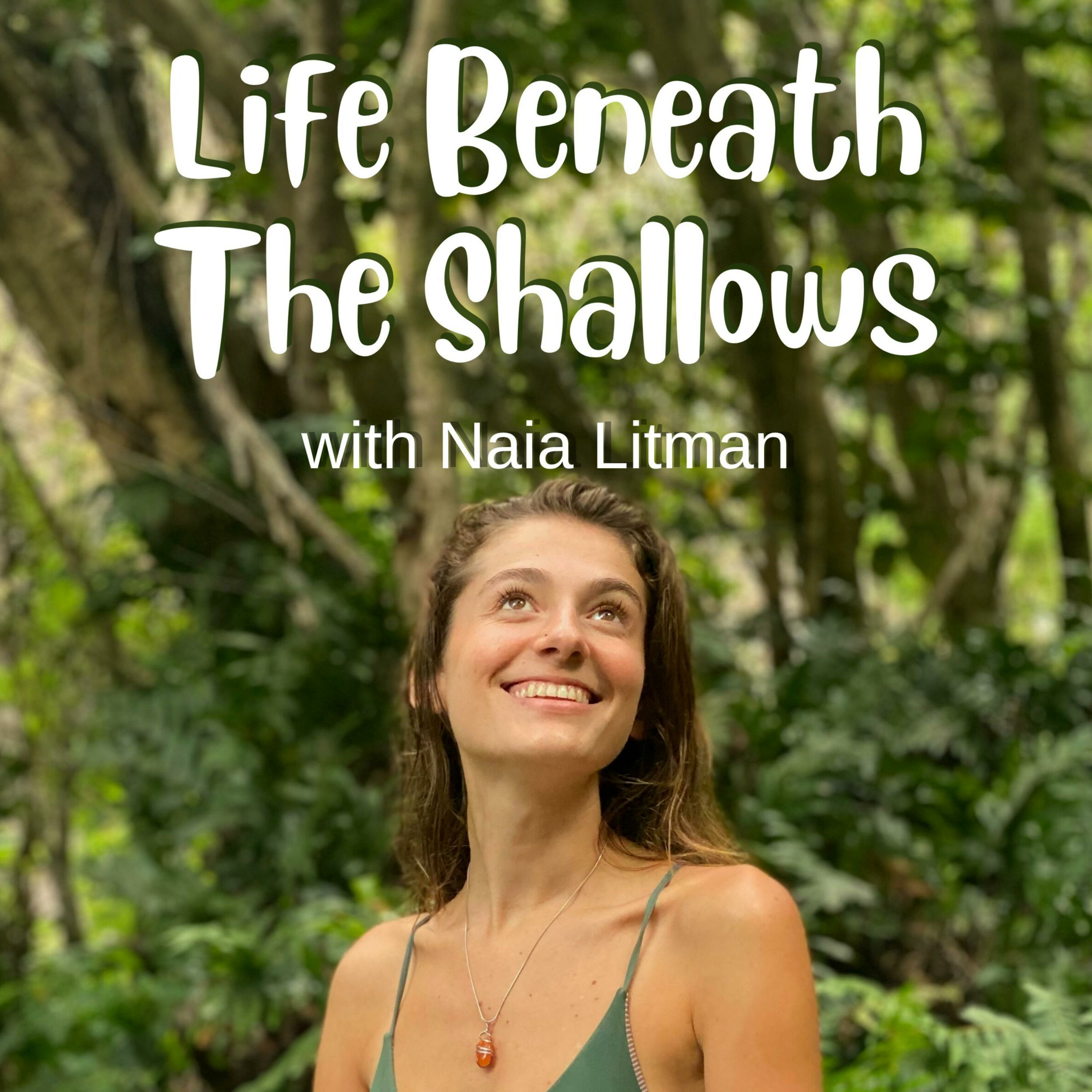 Life Beneath The Shallows