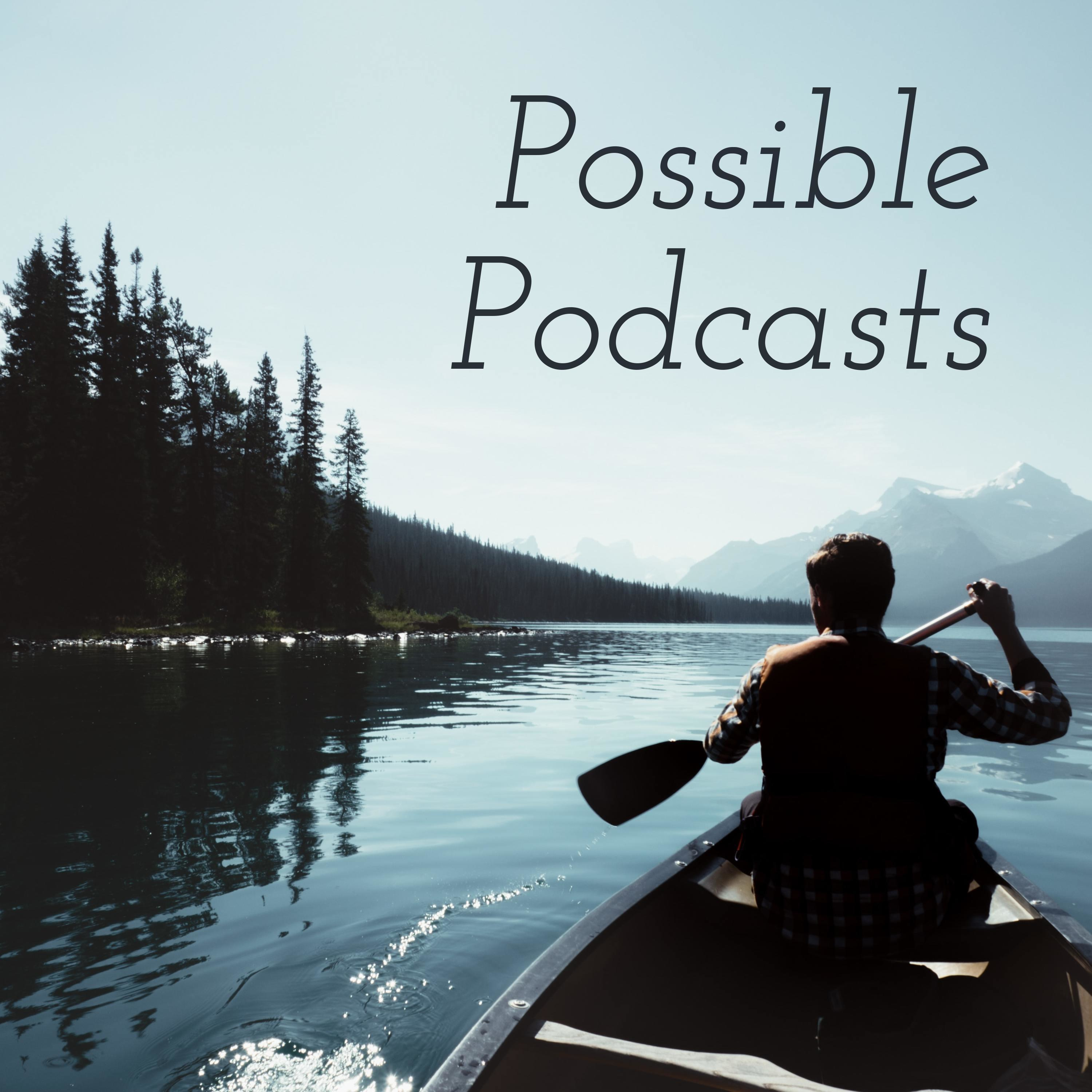 Possible Podcasts podcast artwork