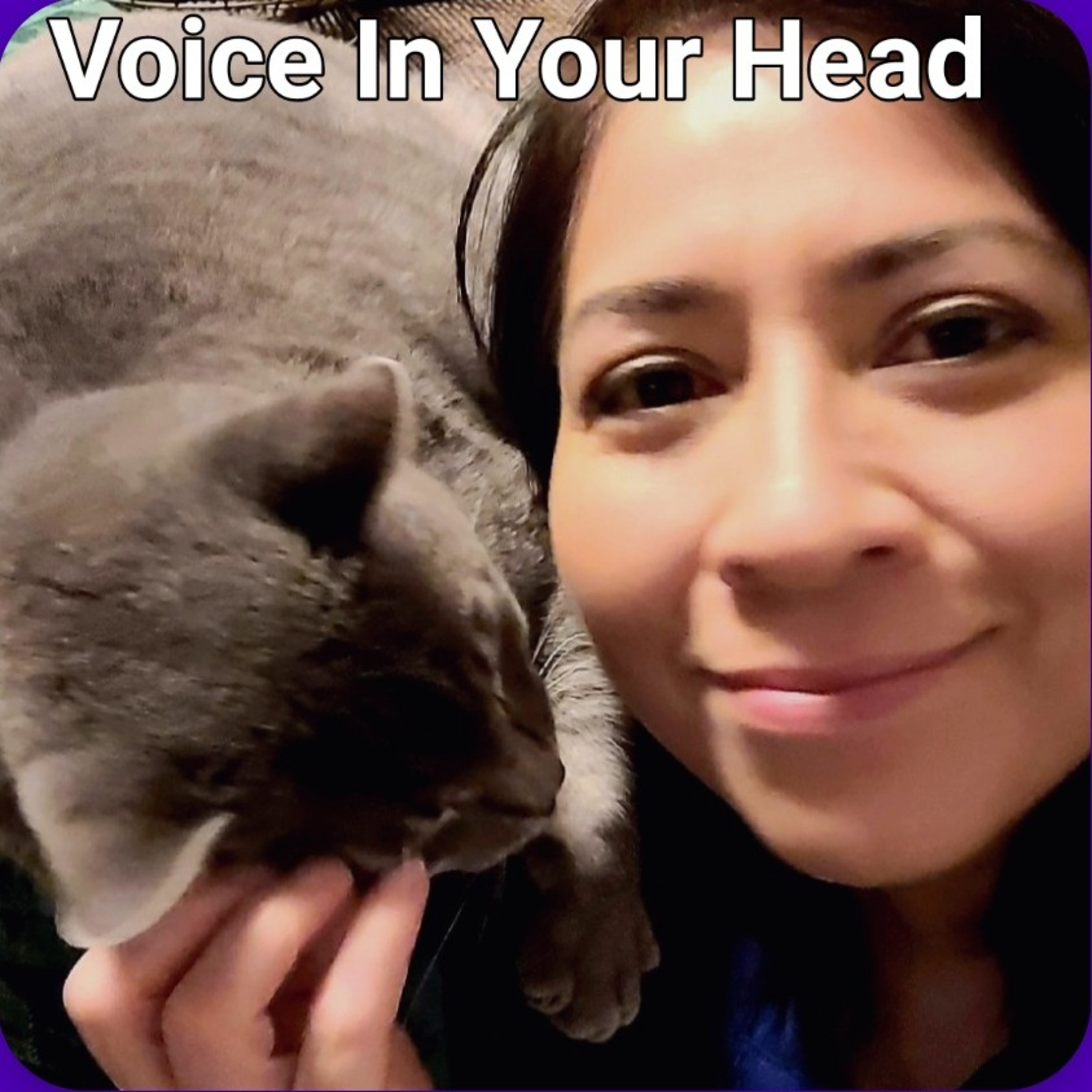 Voice In Your Head podcast artwork