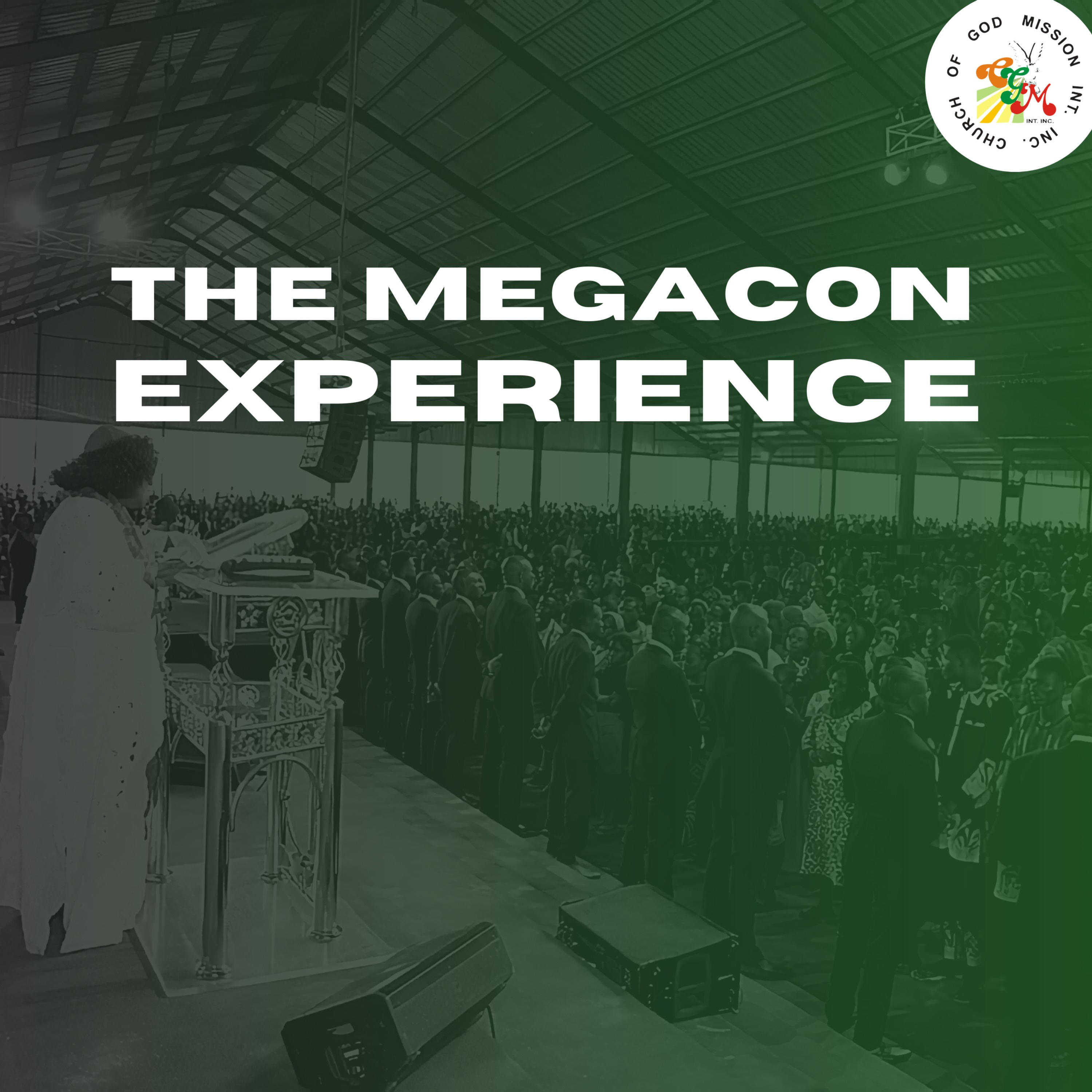 The MegaCon Experience