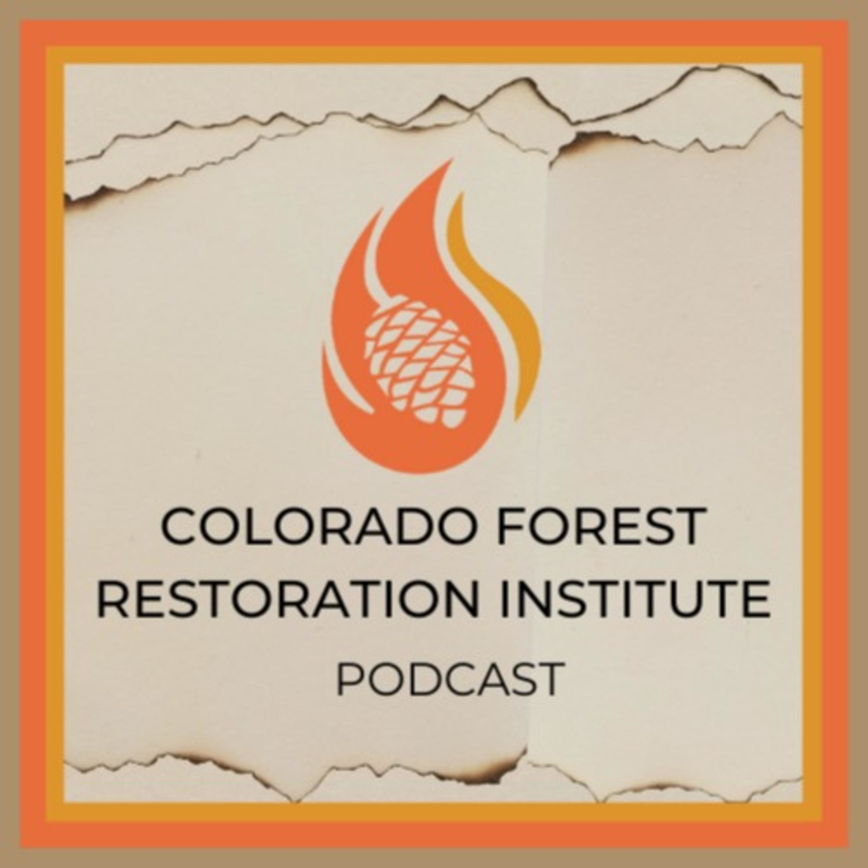 Colorado Forest Restoration Institute Demystifying Data Podcast