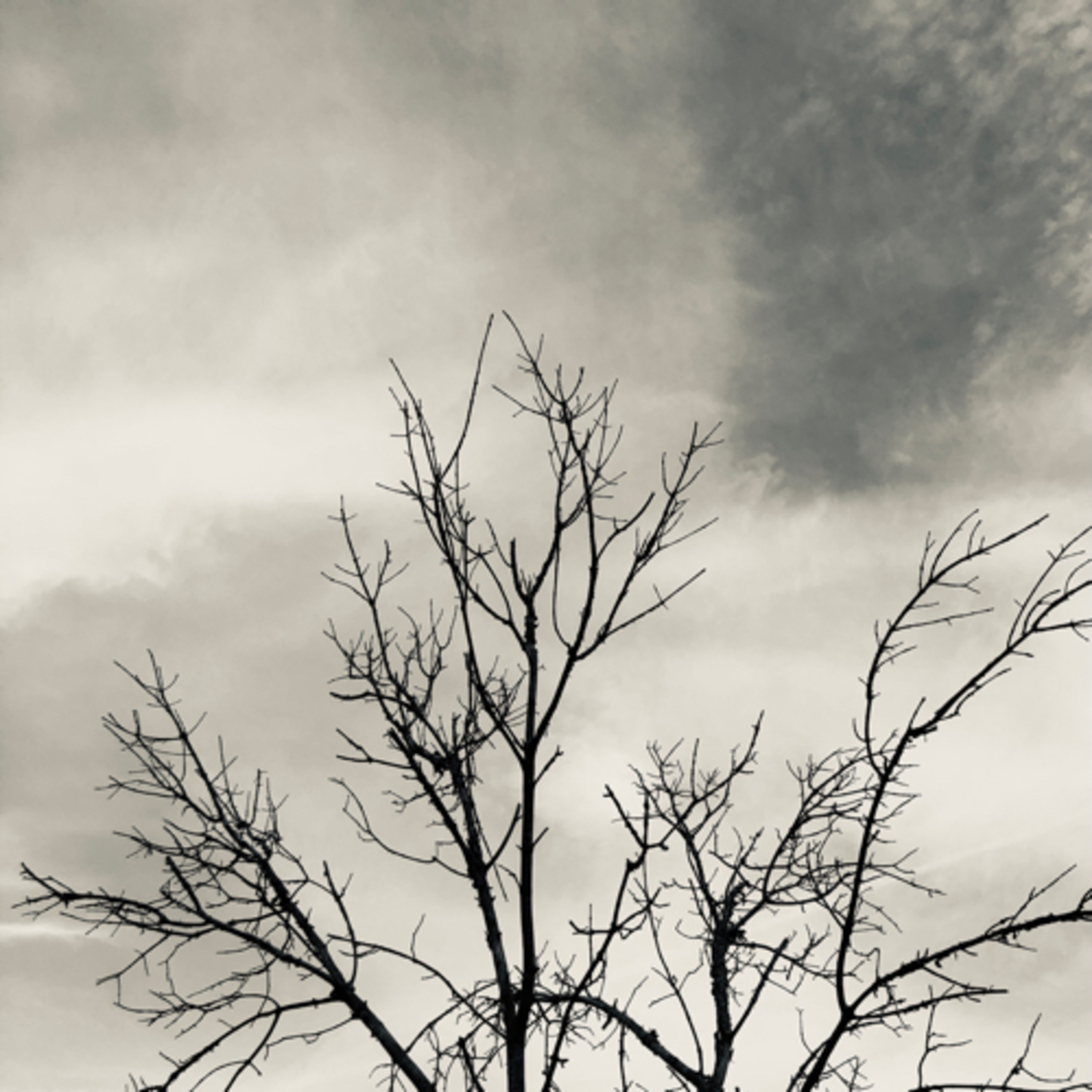 Cases retold