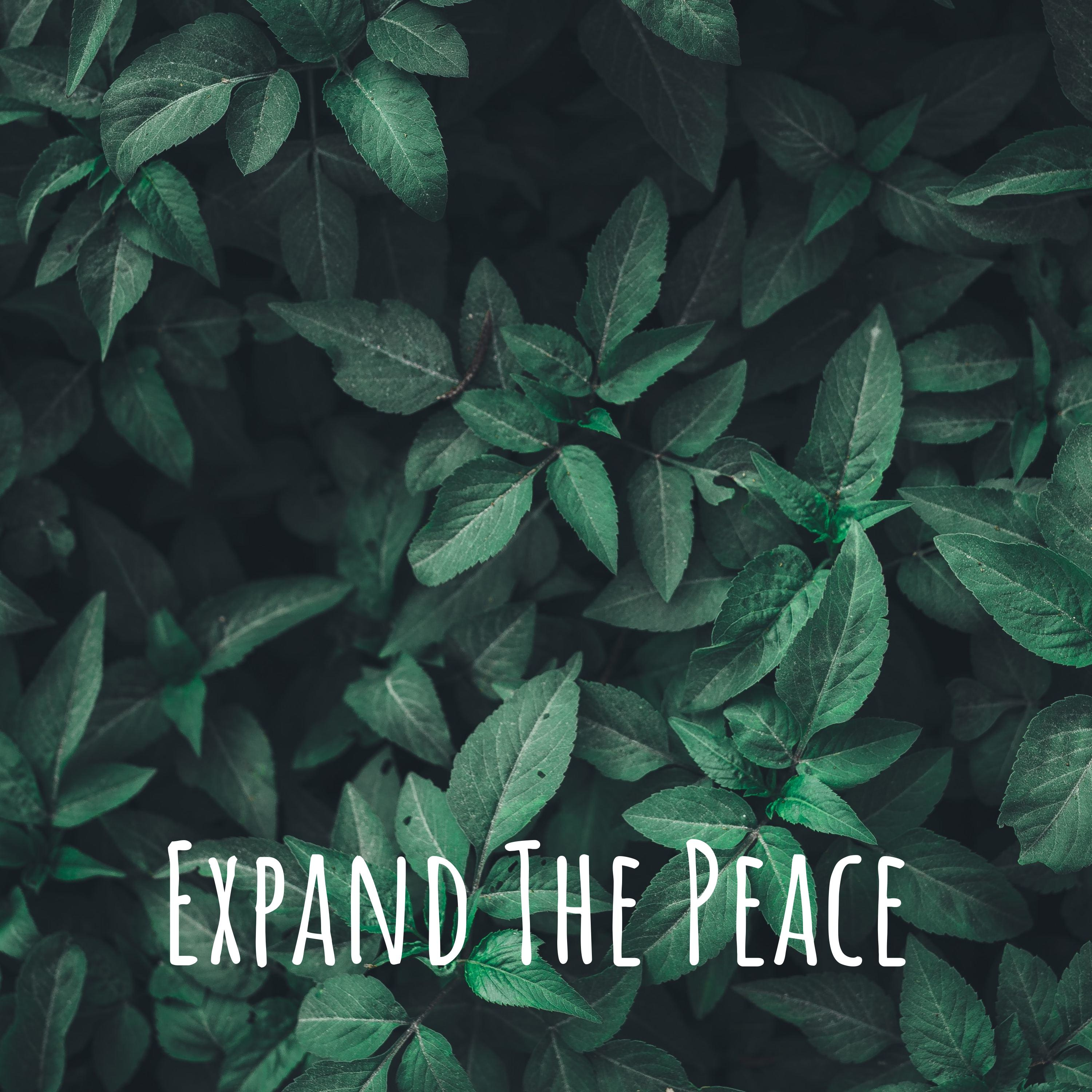 Expand The Peace podcast artwork