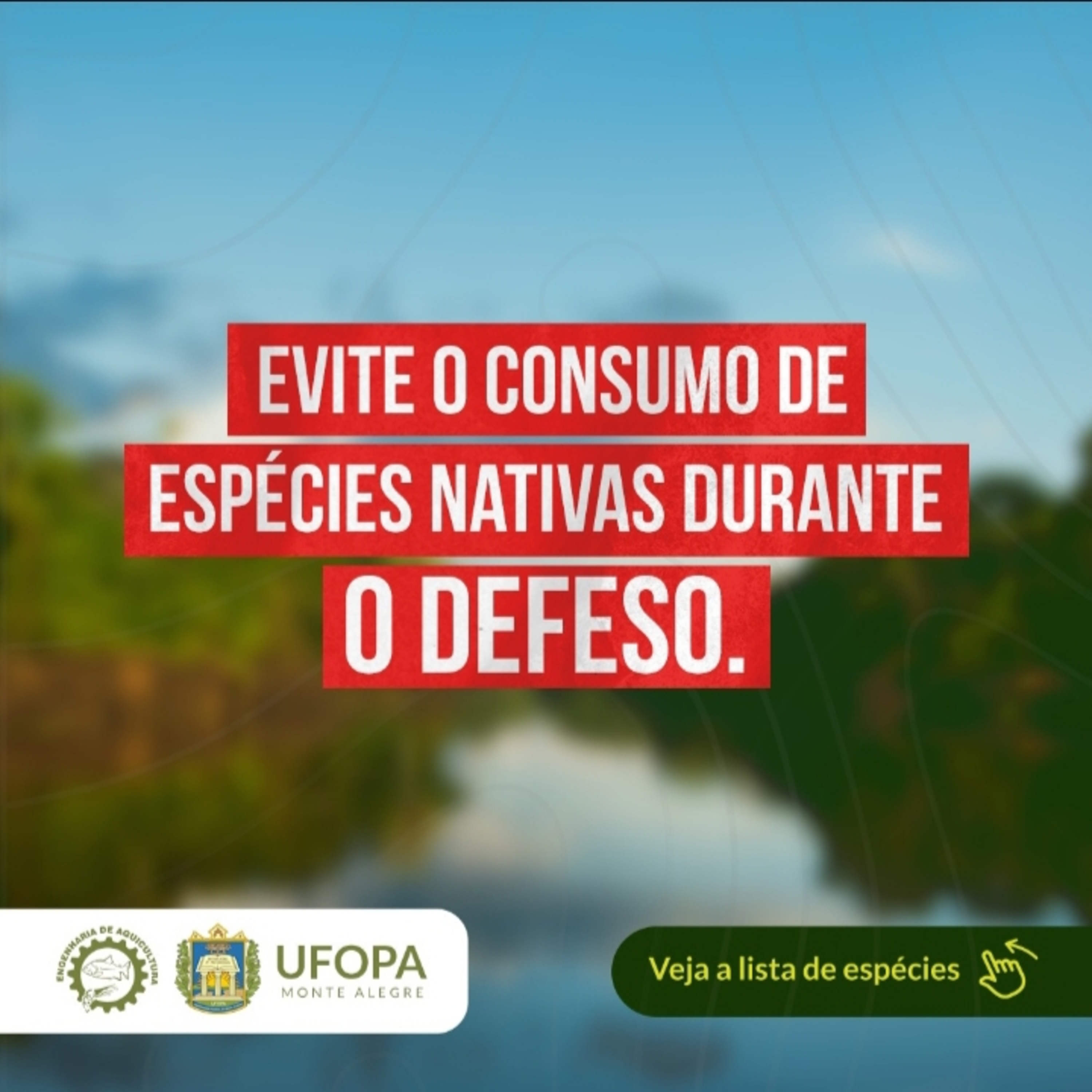 O que é Piracema?