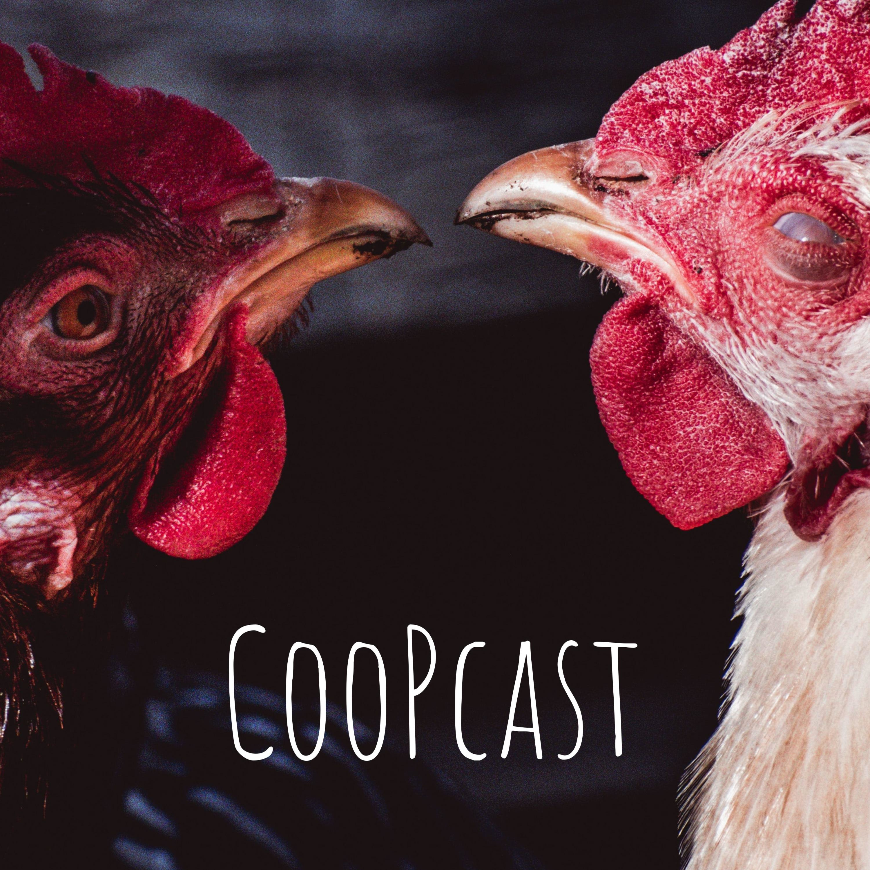 CooPcast