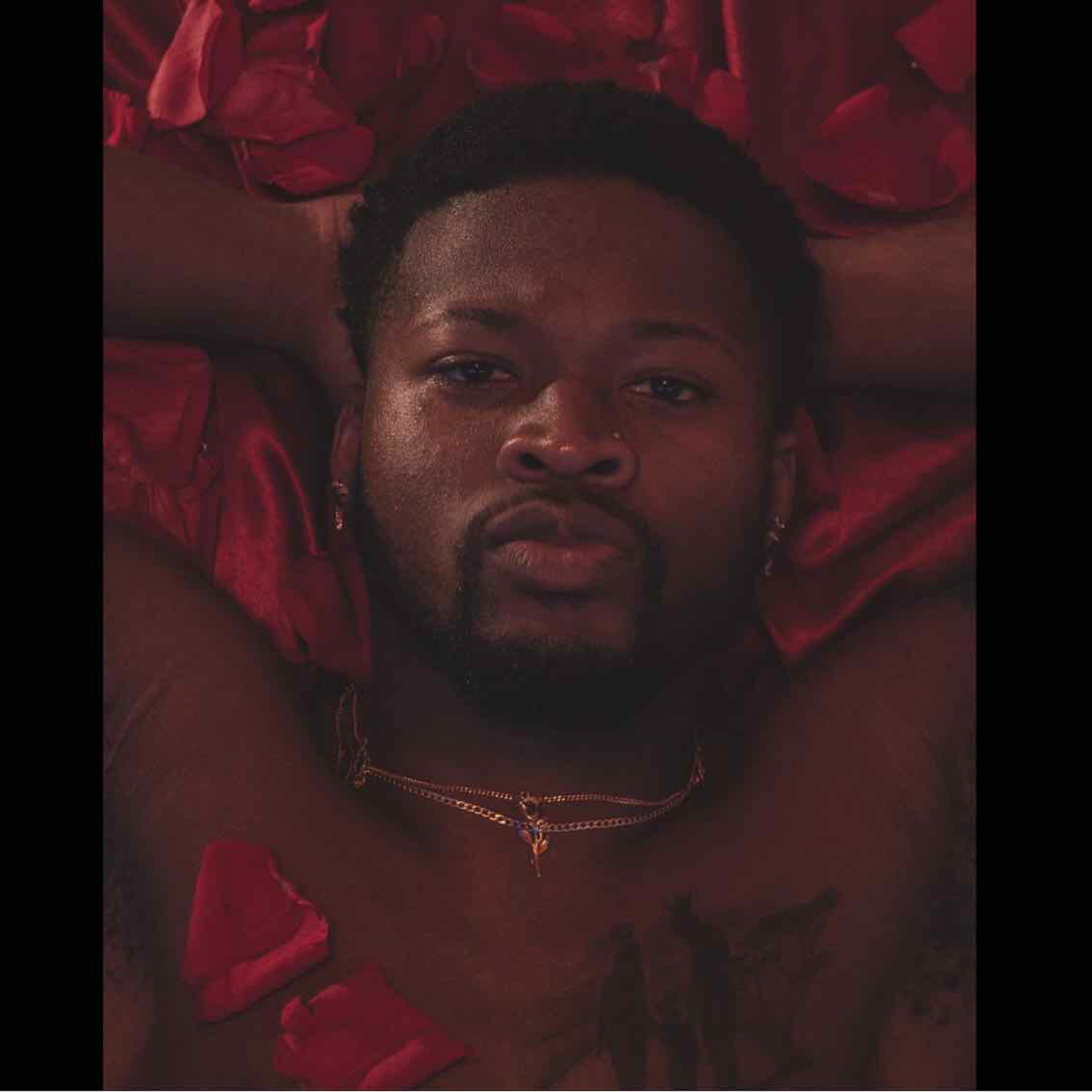 KP More than a Voice