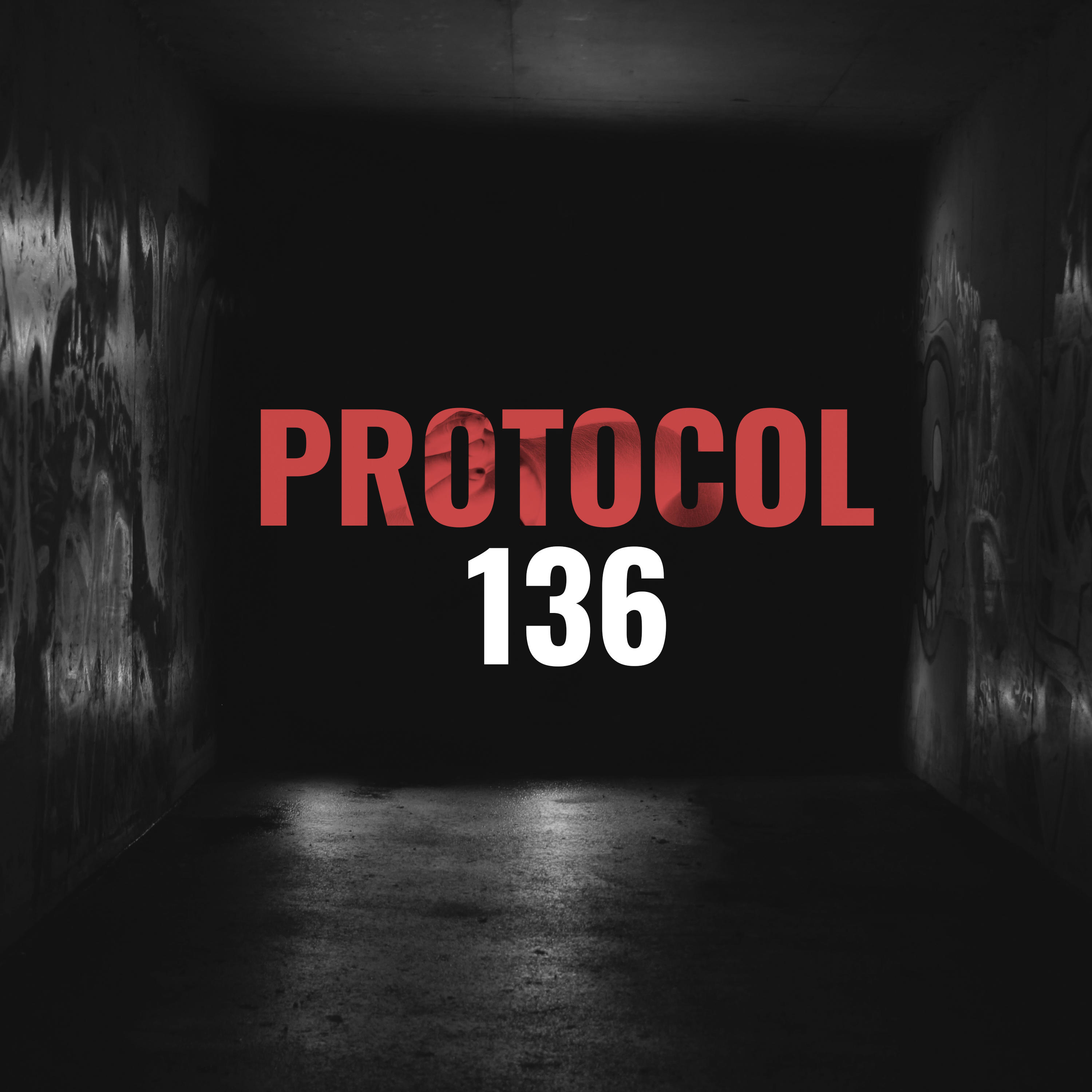 Protocol 136: A True Crime Podcast podcast artwork